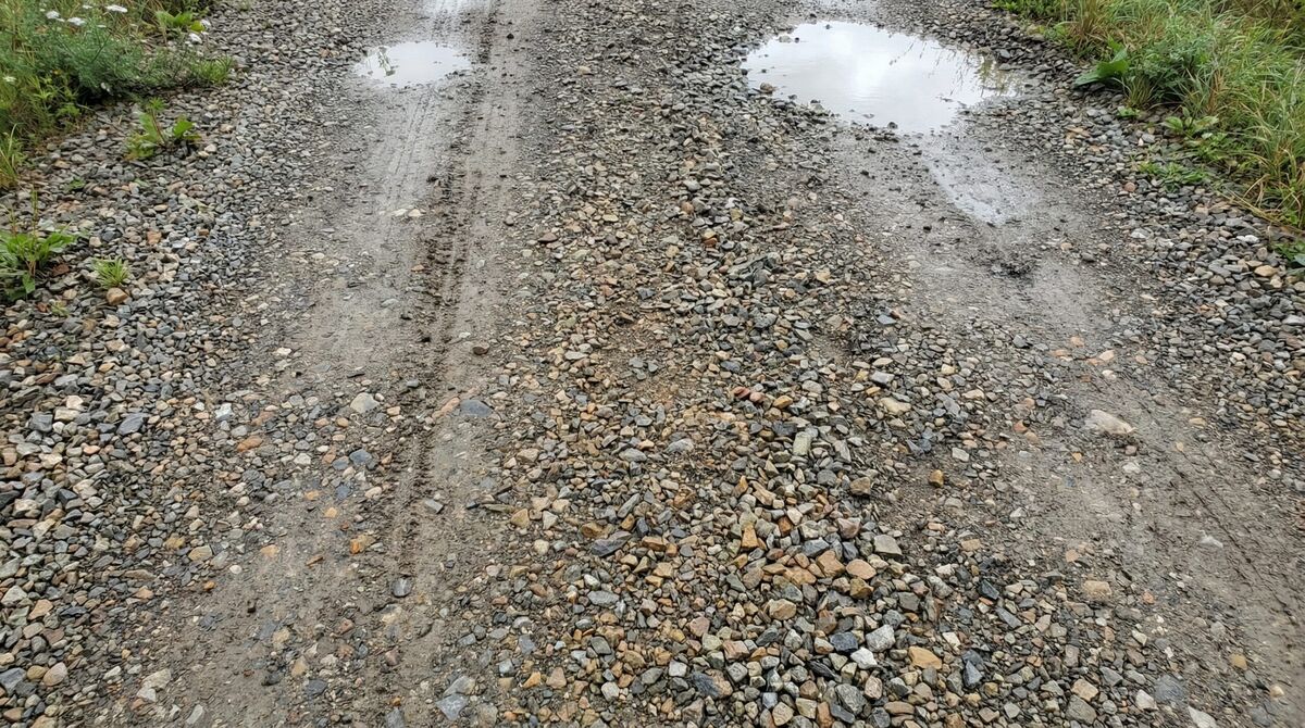 Crusher Run vs Gabion Stone  Complete Material Comparison Guide