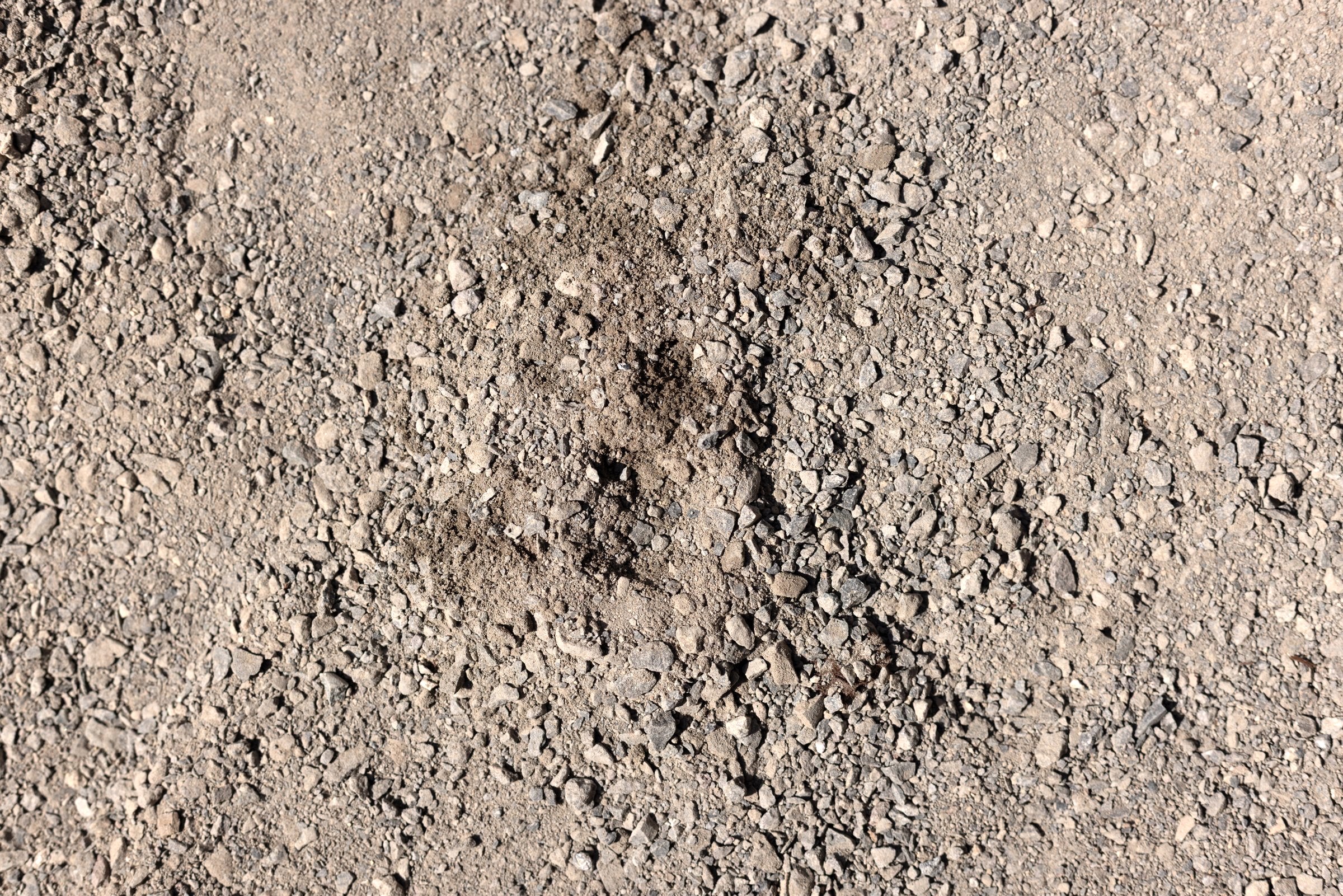 1/4 Minus River Rock — photo 4