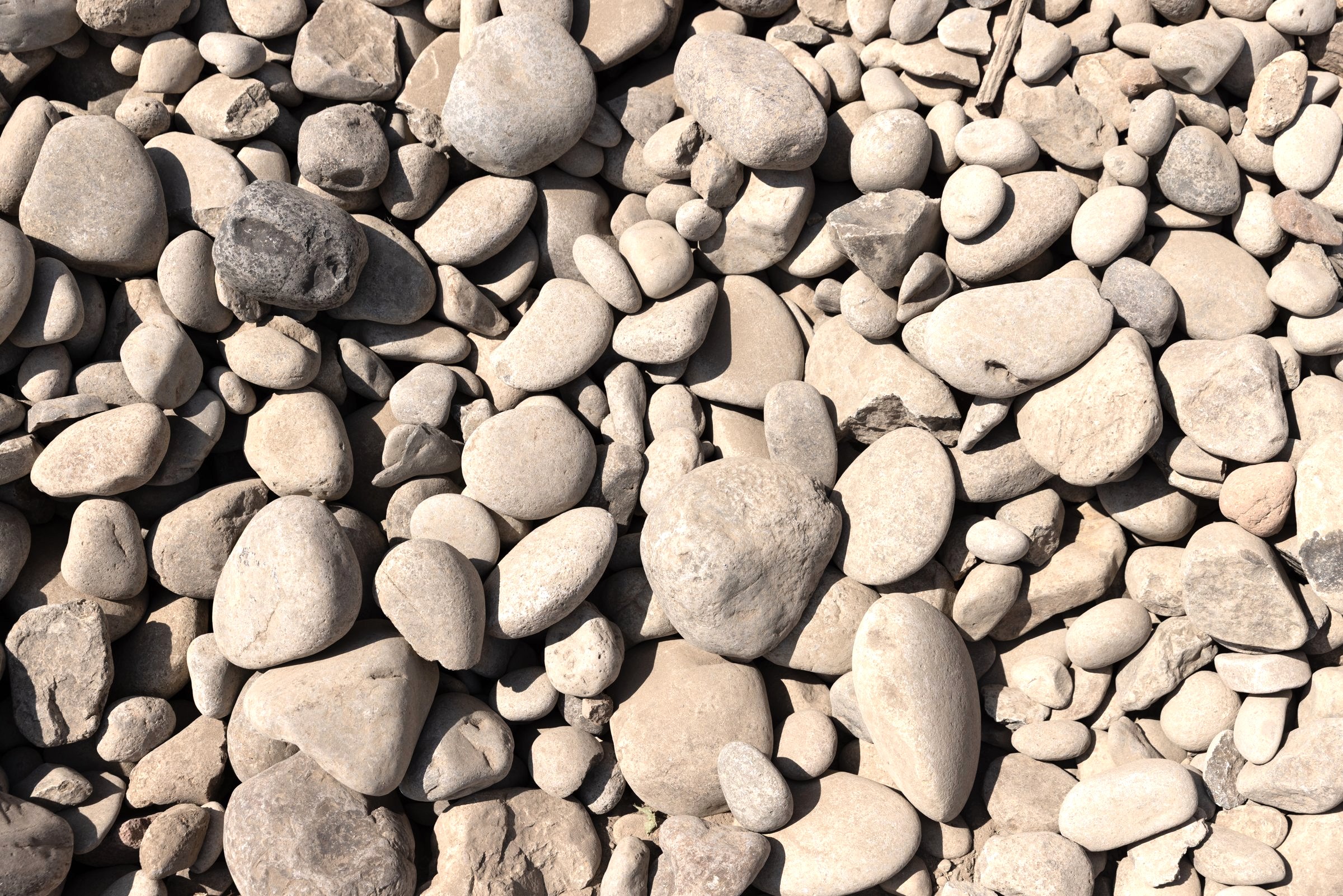 2-6" Round Rock — photo 5