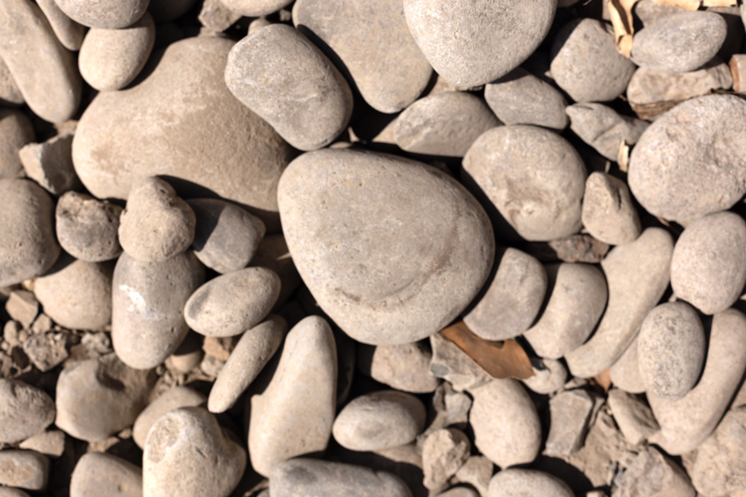 2-6" Round Rock — photo 4