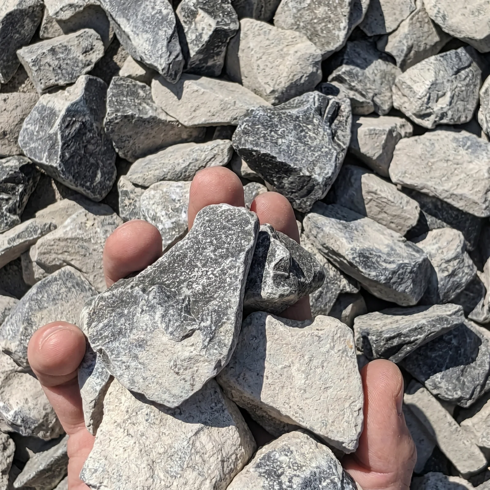 #4 Limestone — photo 4