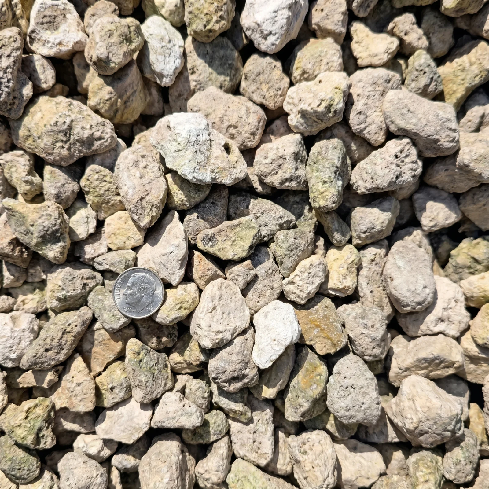 #467 Limestone — photo 3