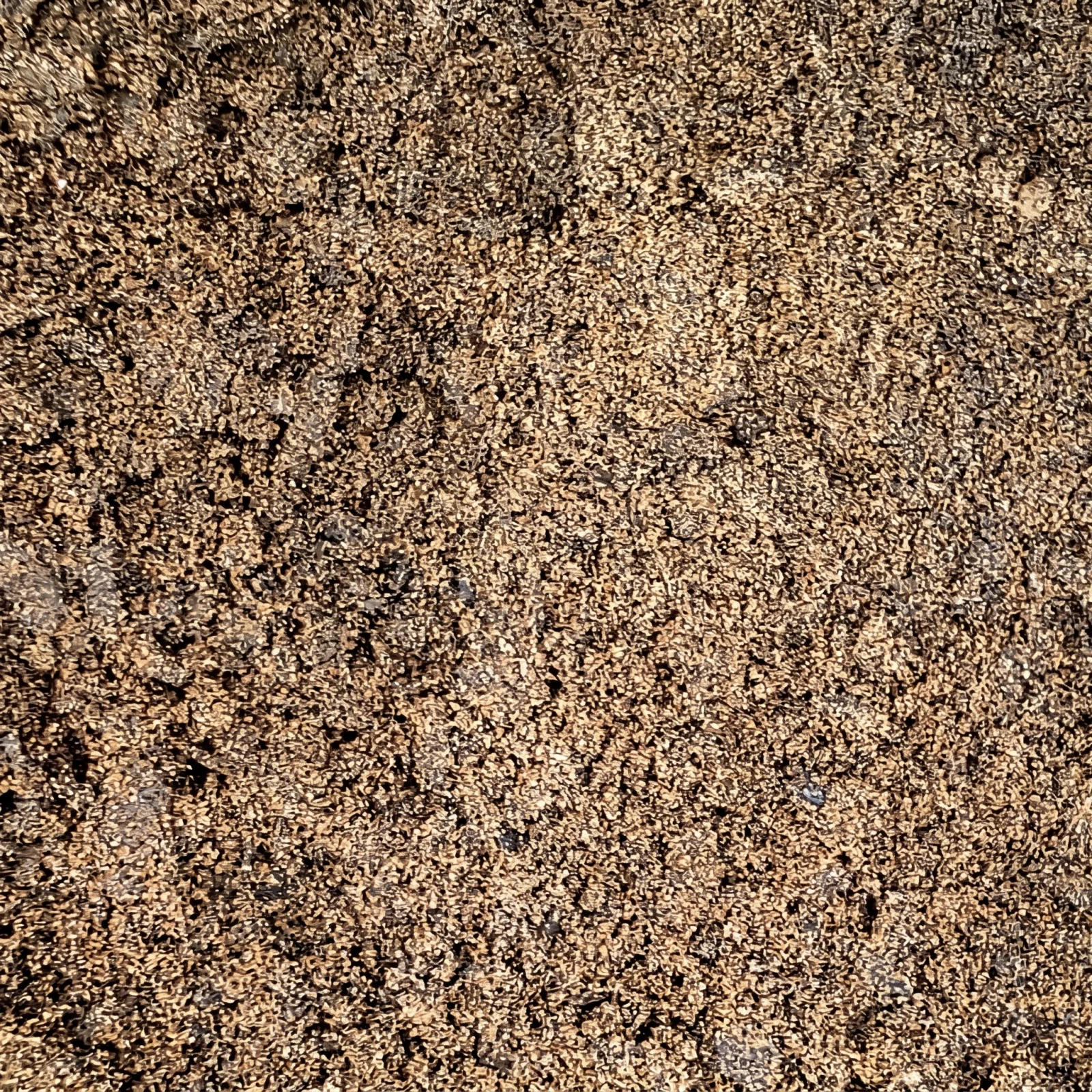 50/50 Blended Soil