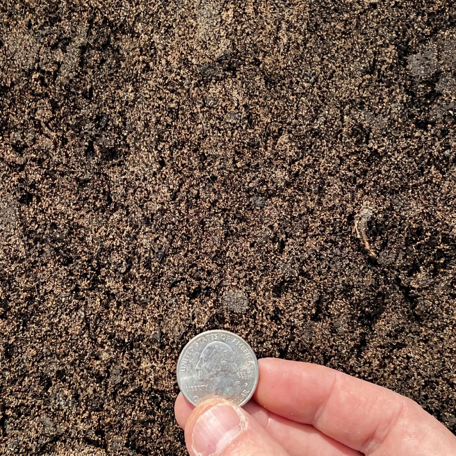 50/50 Blended Soil — photo 3