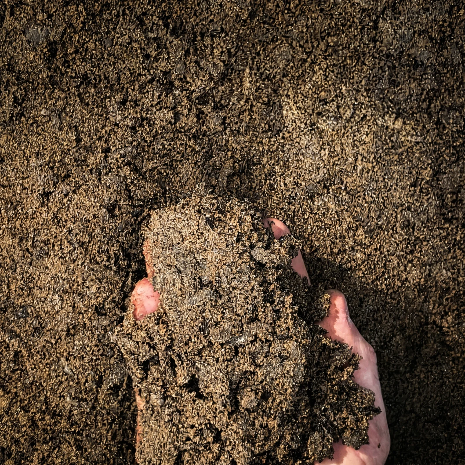 50/50 Blended Soil — photo 4