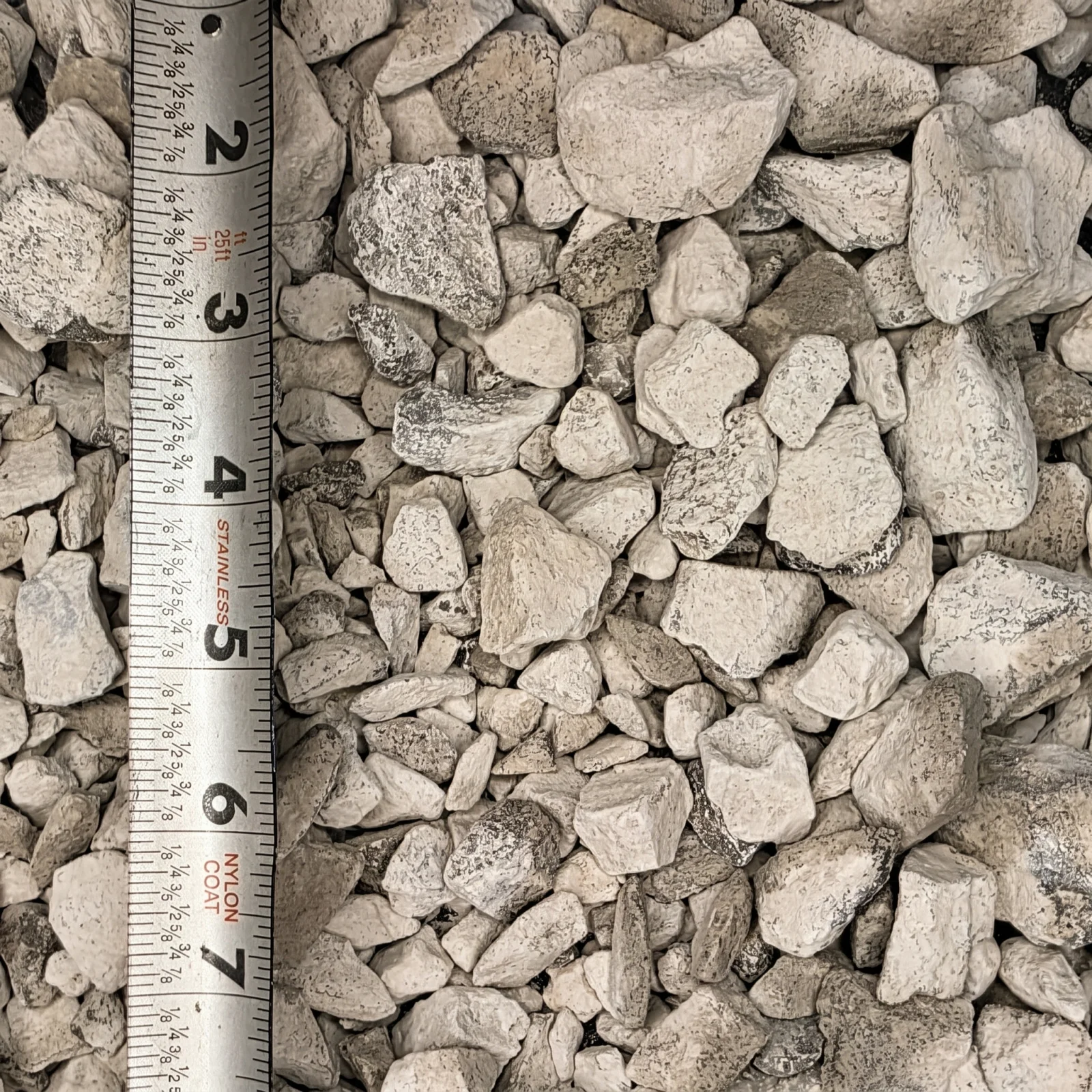 #57 Limestone — photo 5