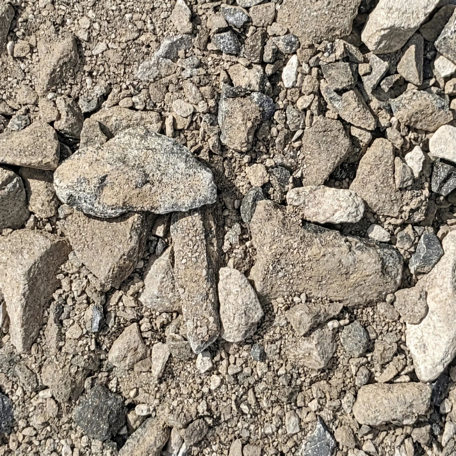 #610 Limestone