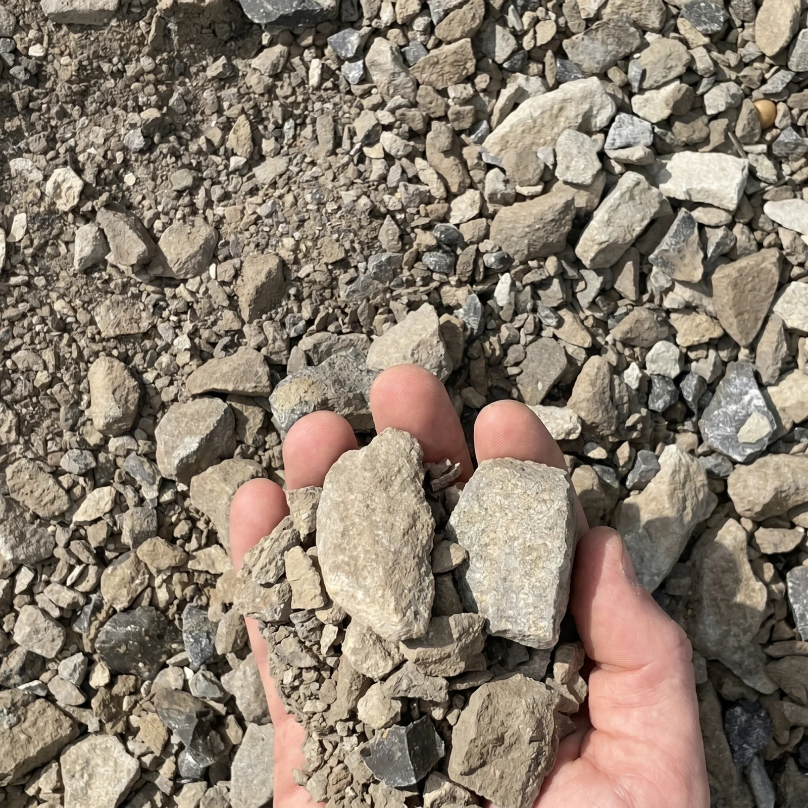 #610 Limestone — photo 4