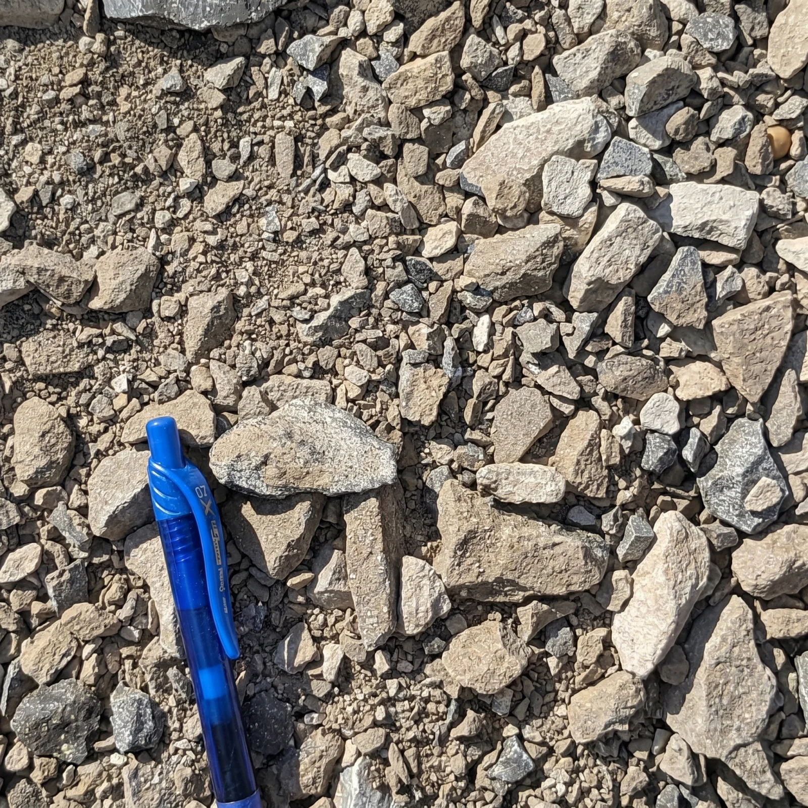 #610 Limestone — photo 6