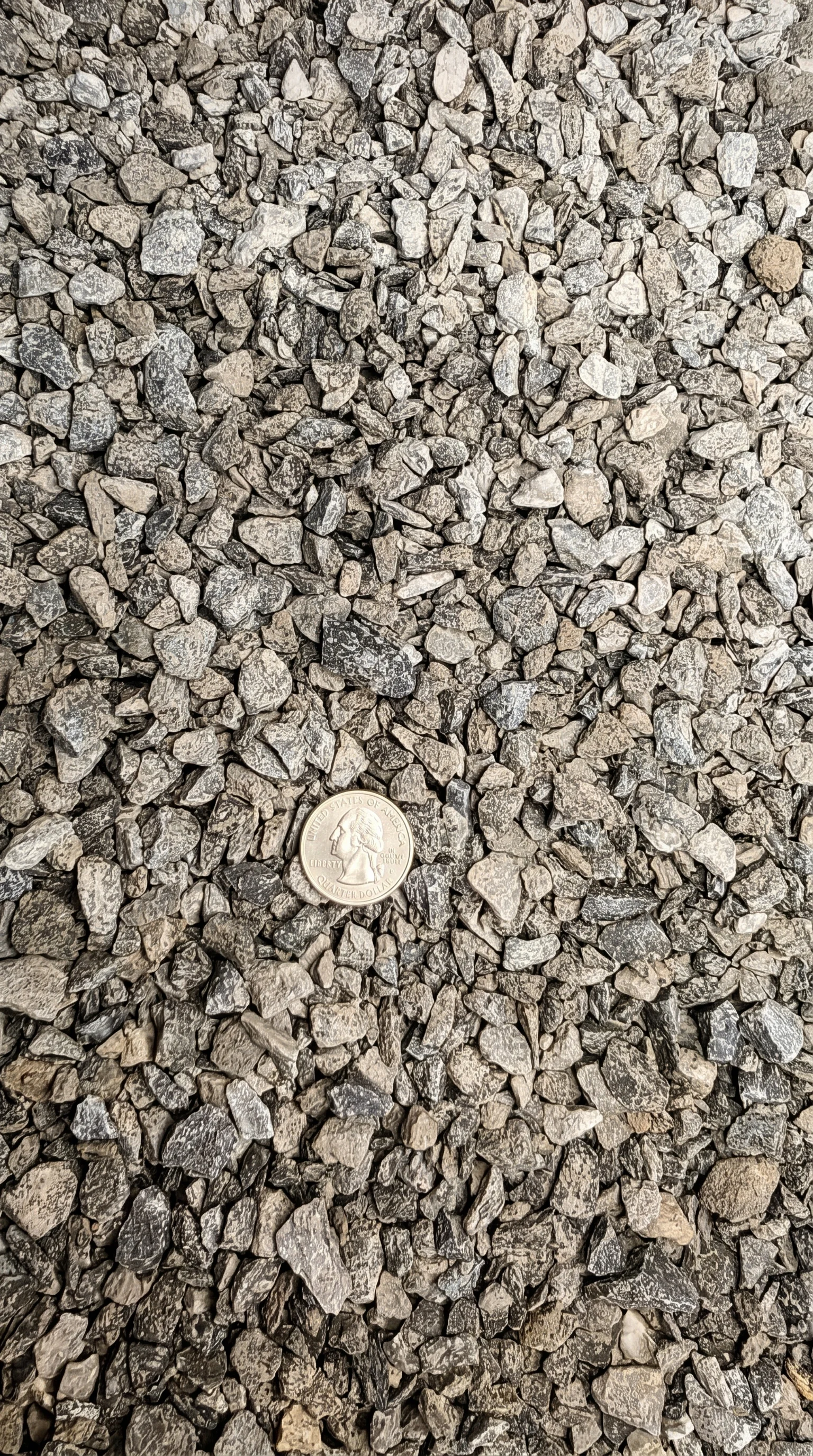 #8 Limestone — photo 3
