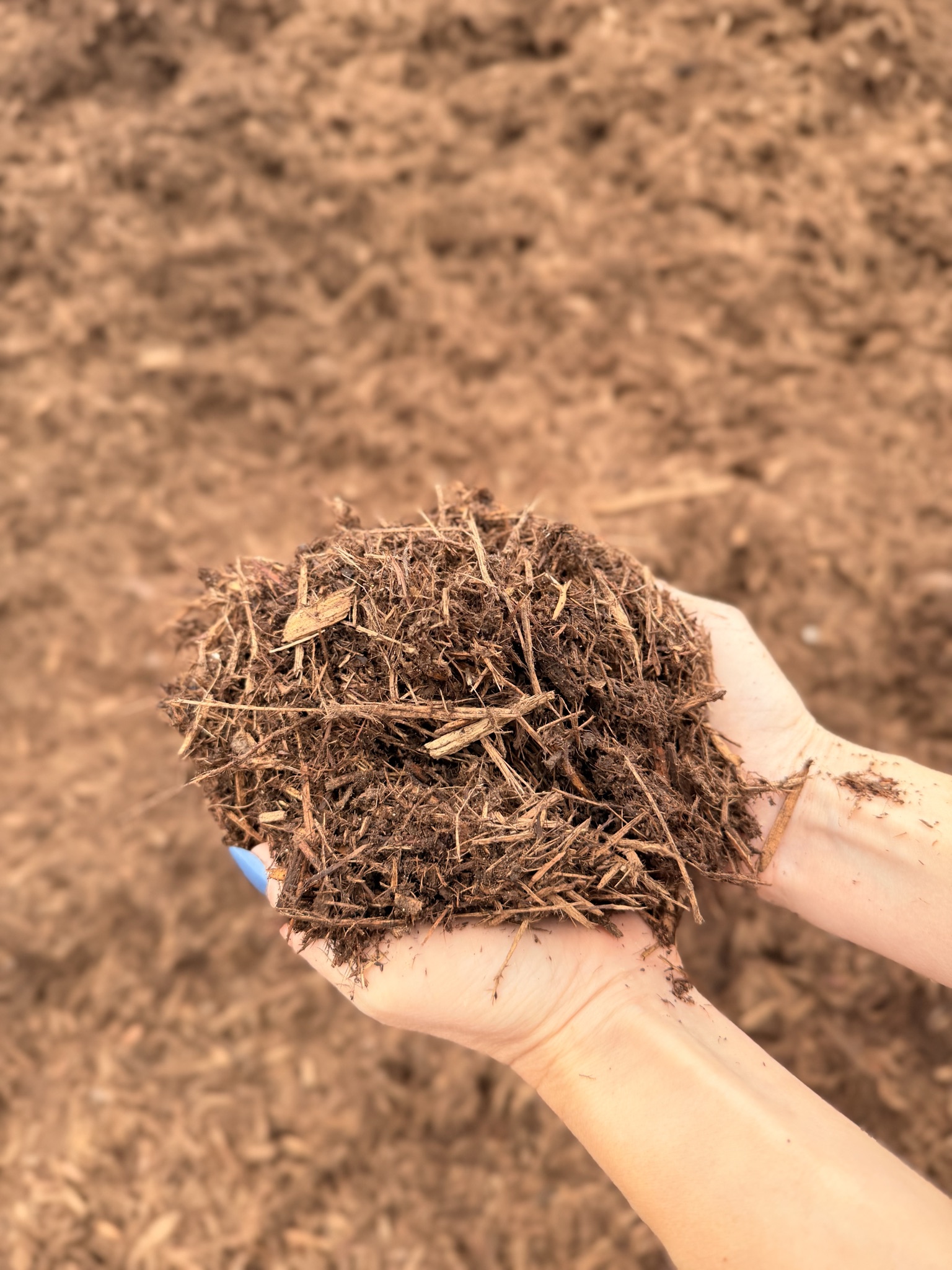 Aromatic Cedar Mulch — photo 2