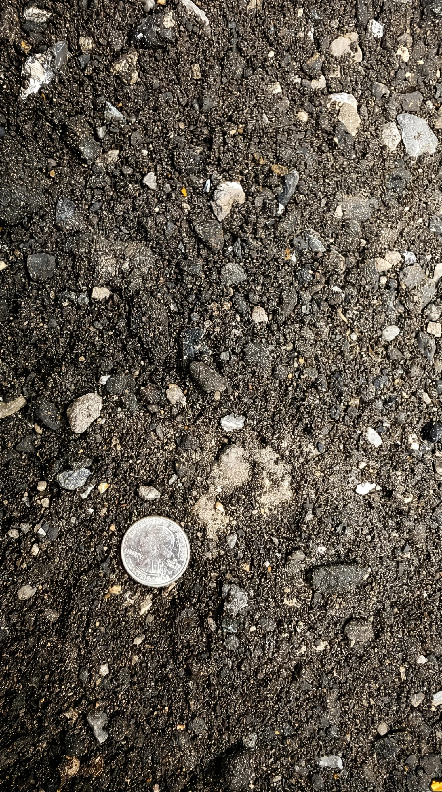 Asphalt Millings — photo 2