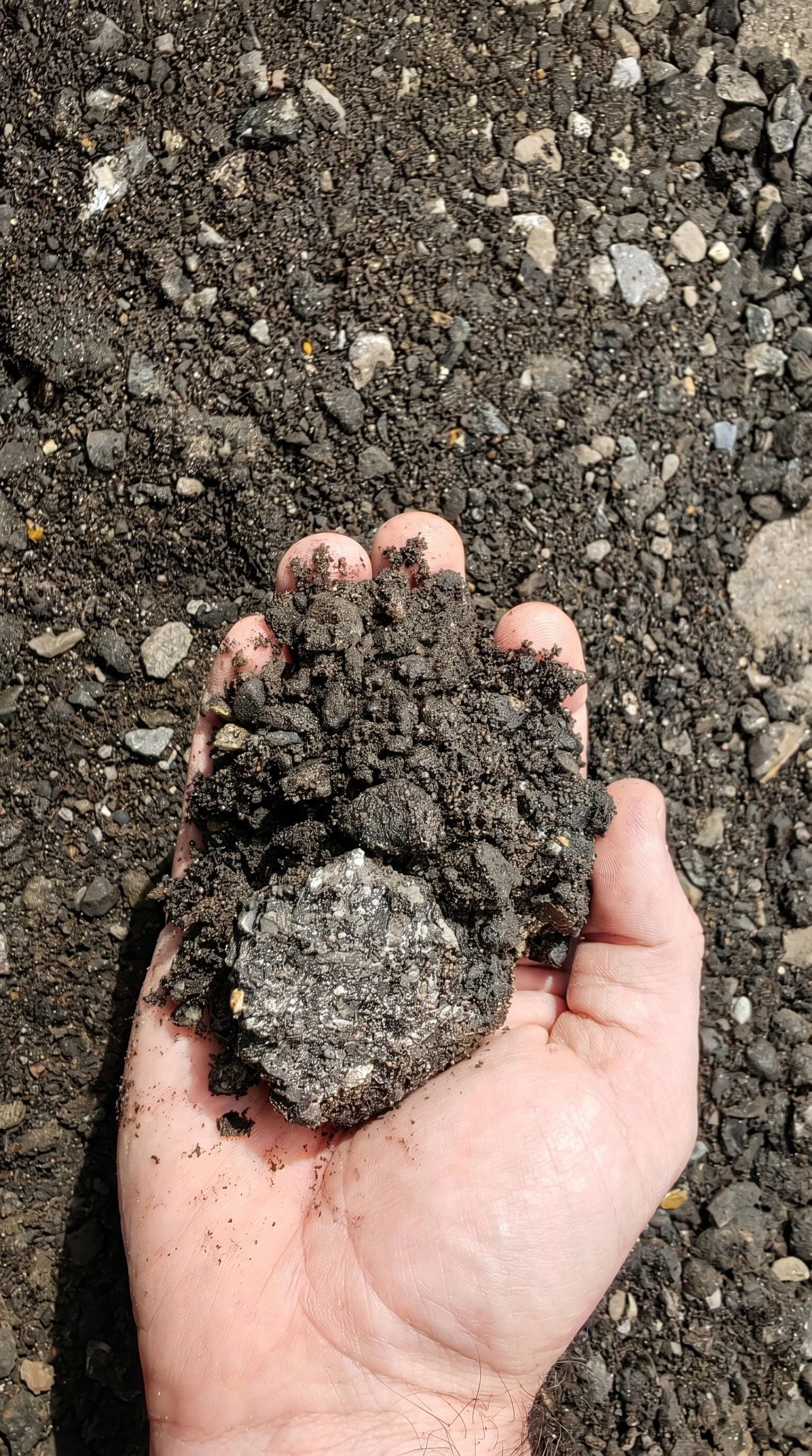 Asphalt Millings — photo 3