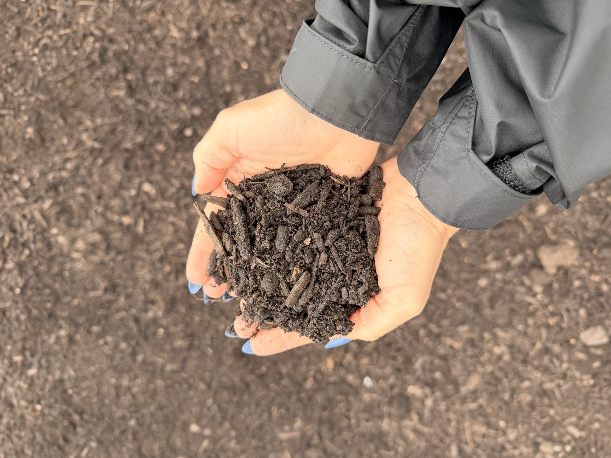 Bella Flora Potting Mix — photo 2