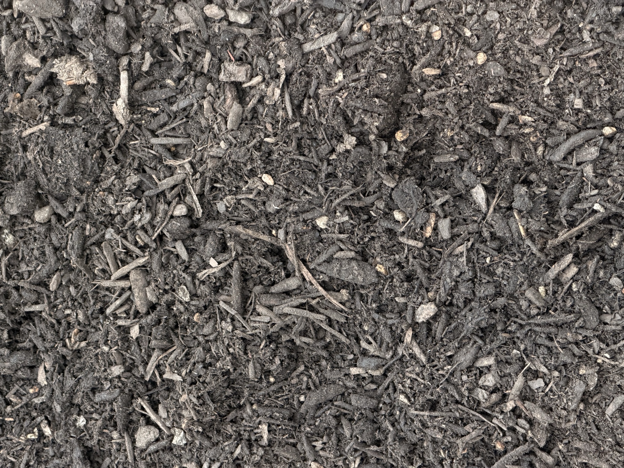 Bella Flora Potting Mix