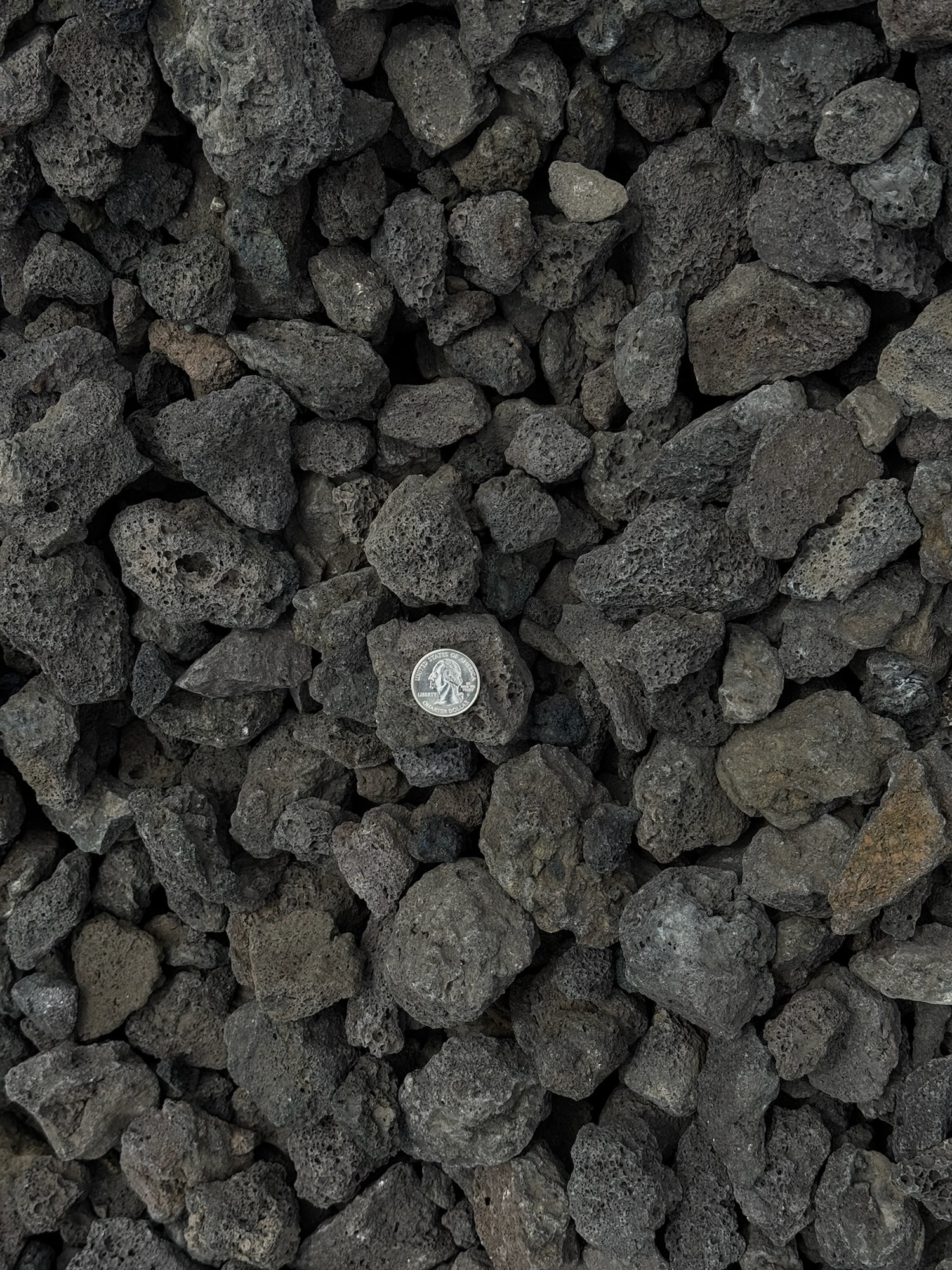 Black Lava Rock thumbnail 5