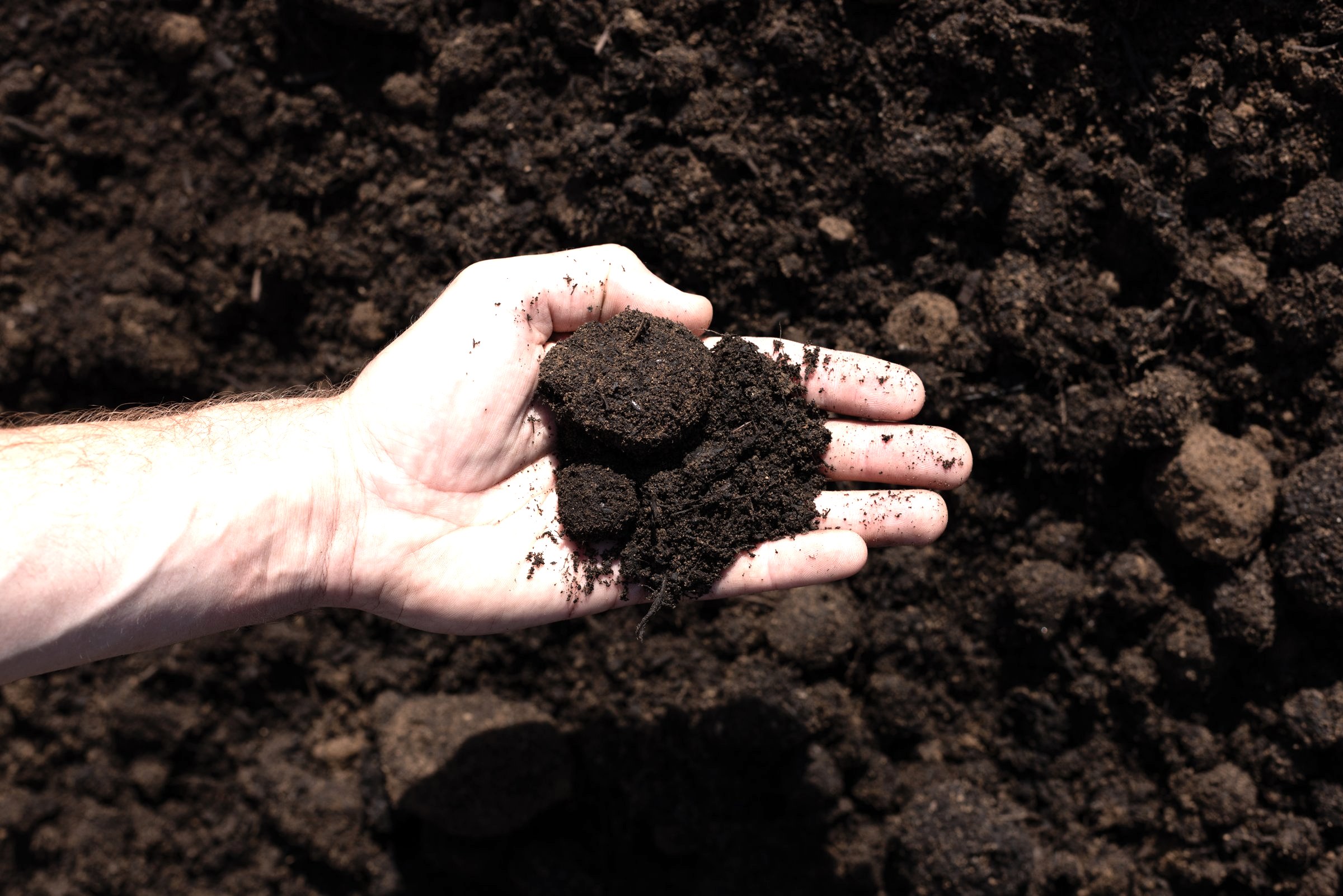 Blended Soil