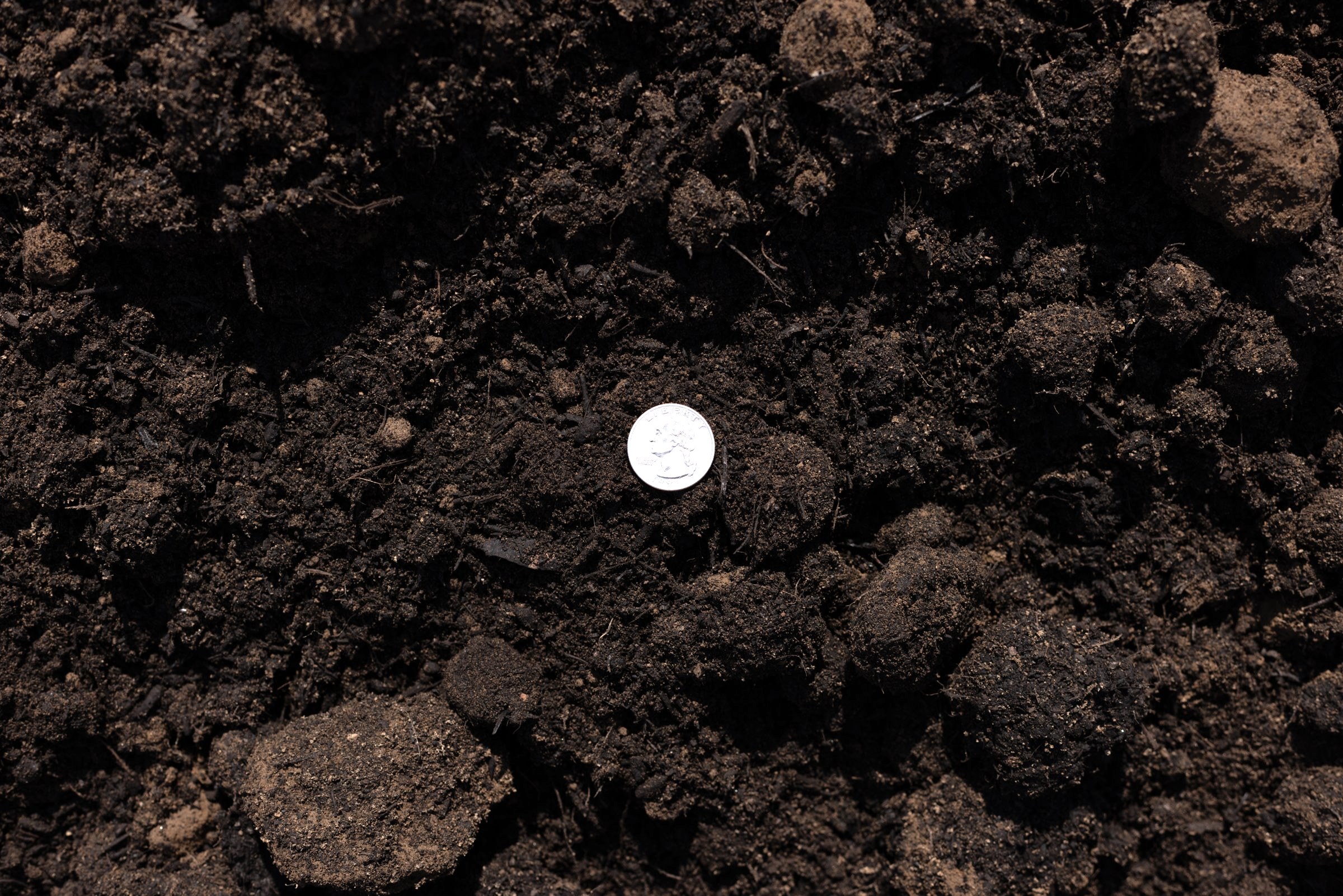 Blended Soil — photo 3