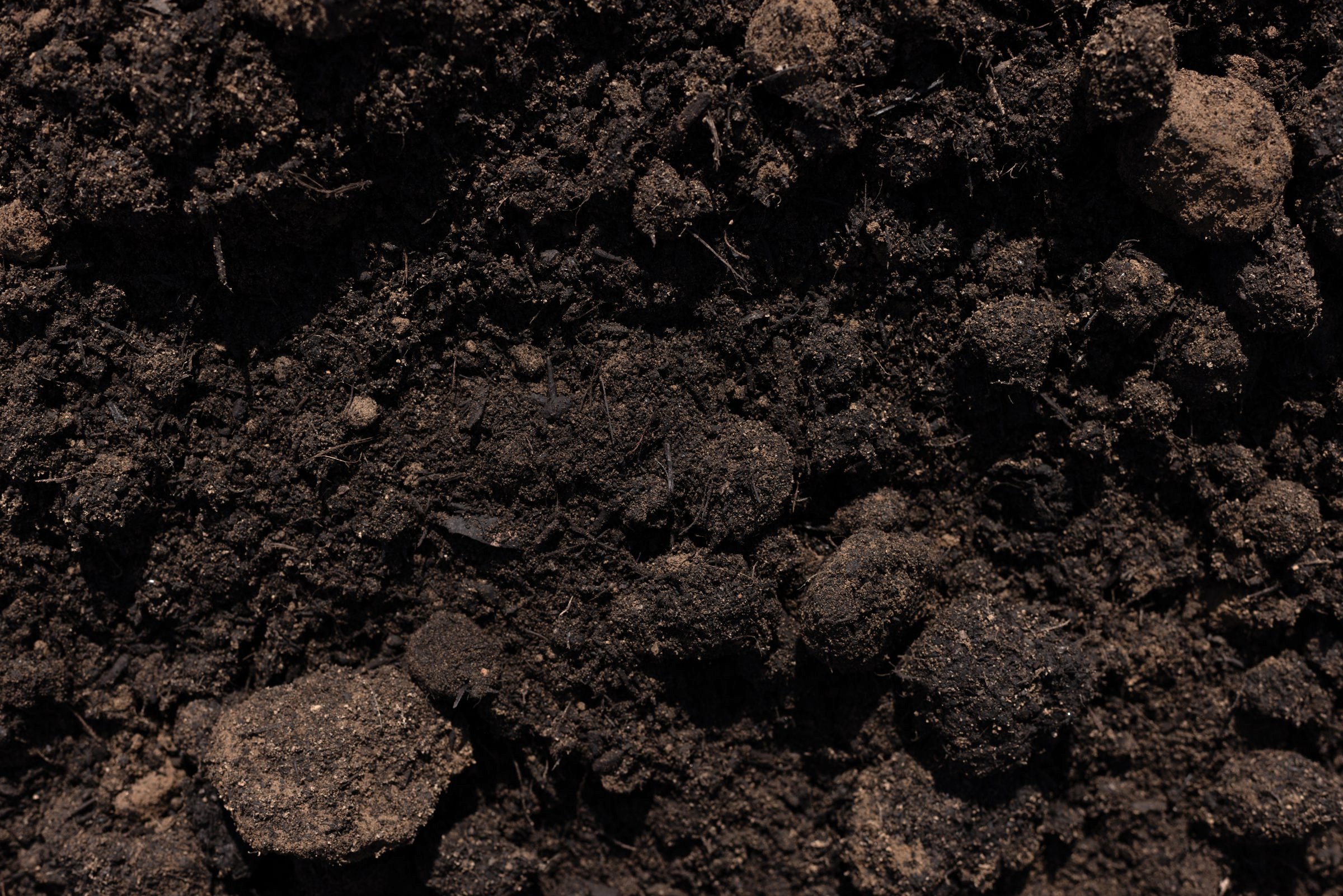 Blended Soil — photo 4