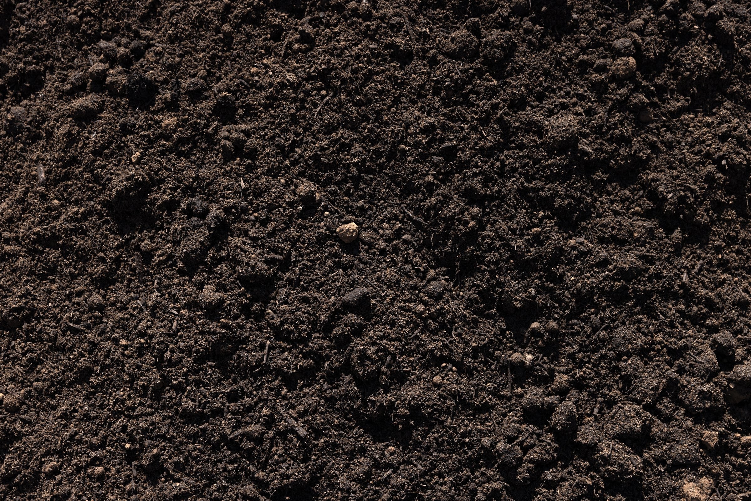 Blended Soil — photo 5