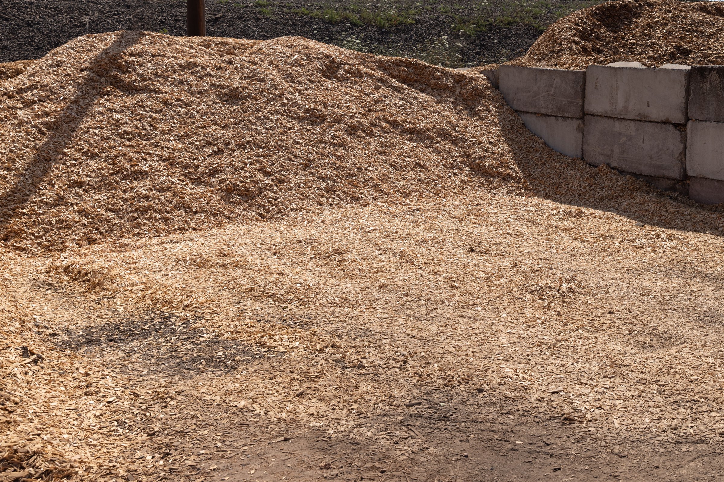 Cedar Wood Chips — photo 3