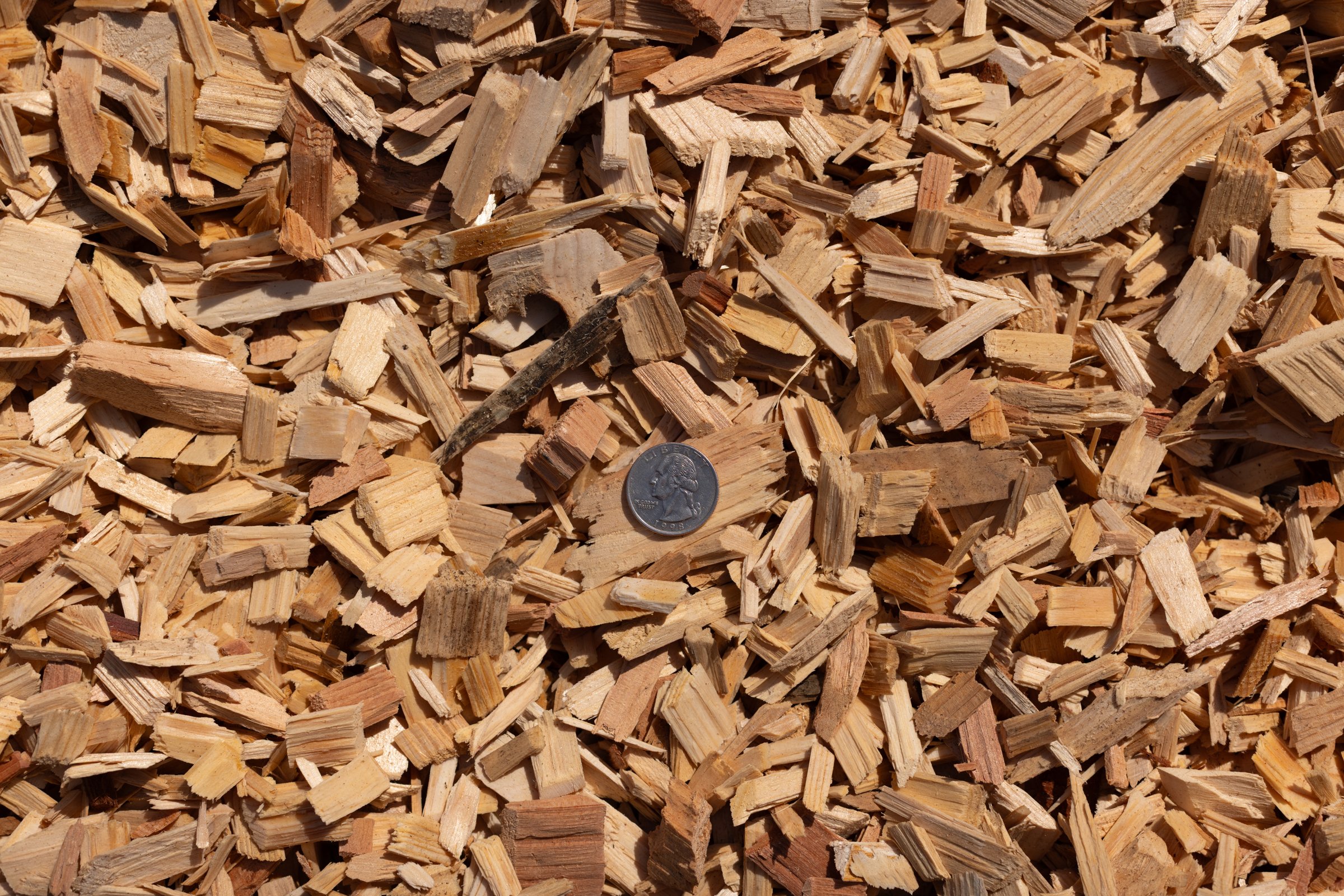 Cedar Wood Chips — photo 4
