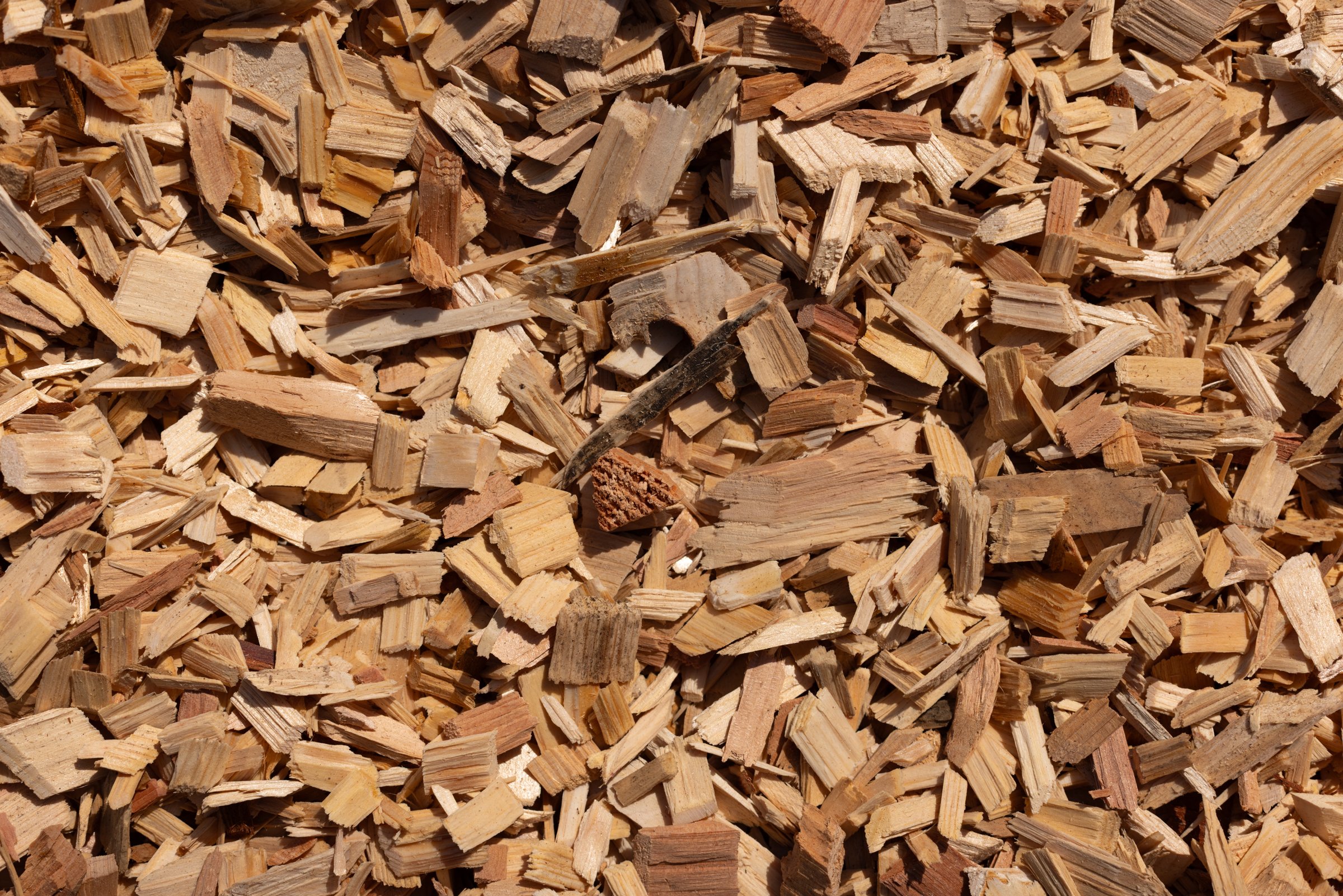 Cedar Wood Chips — photo 5