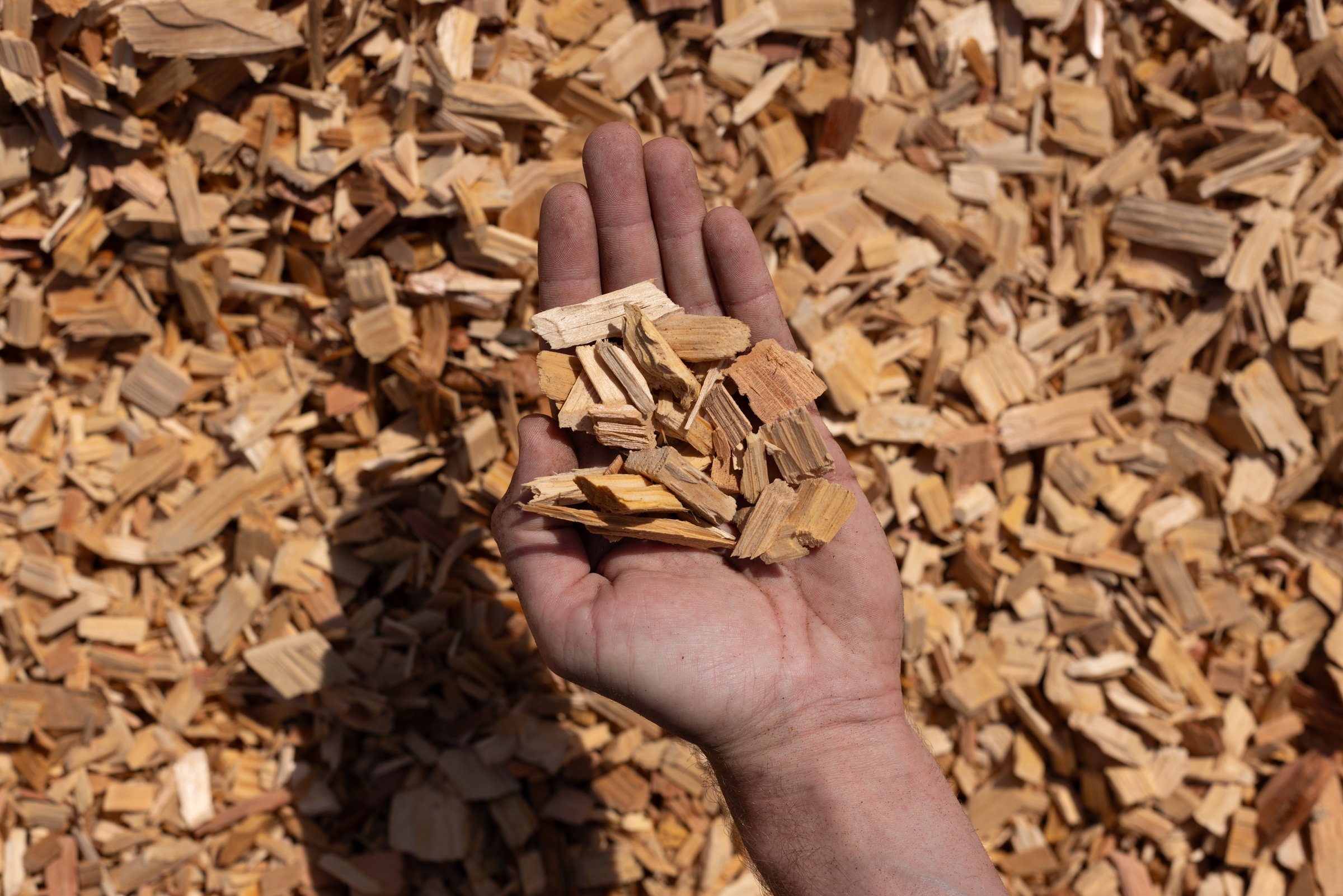 Cedar Wood Chips