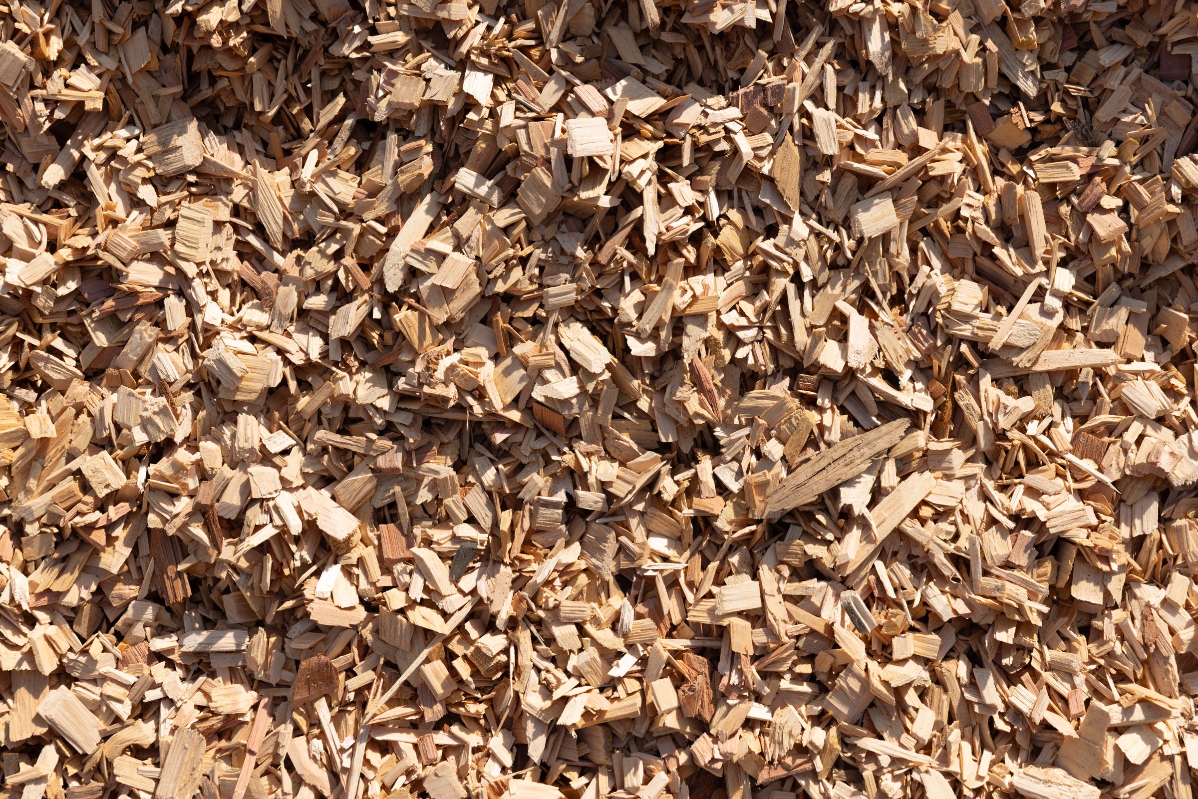 Cedar Wood Chips — photo 6