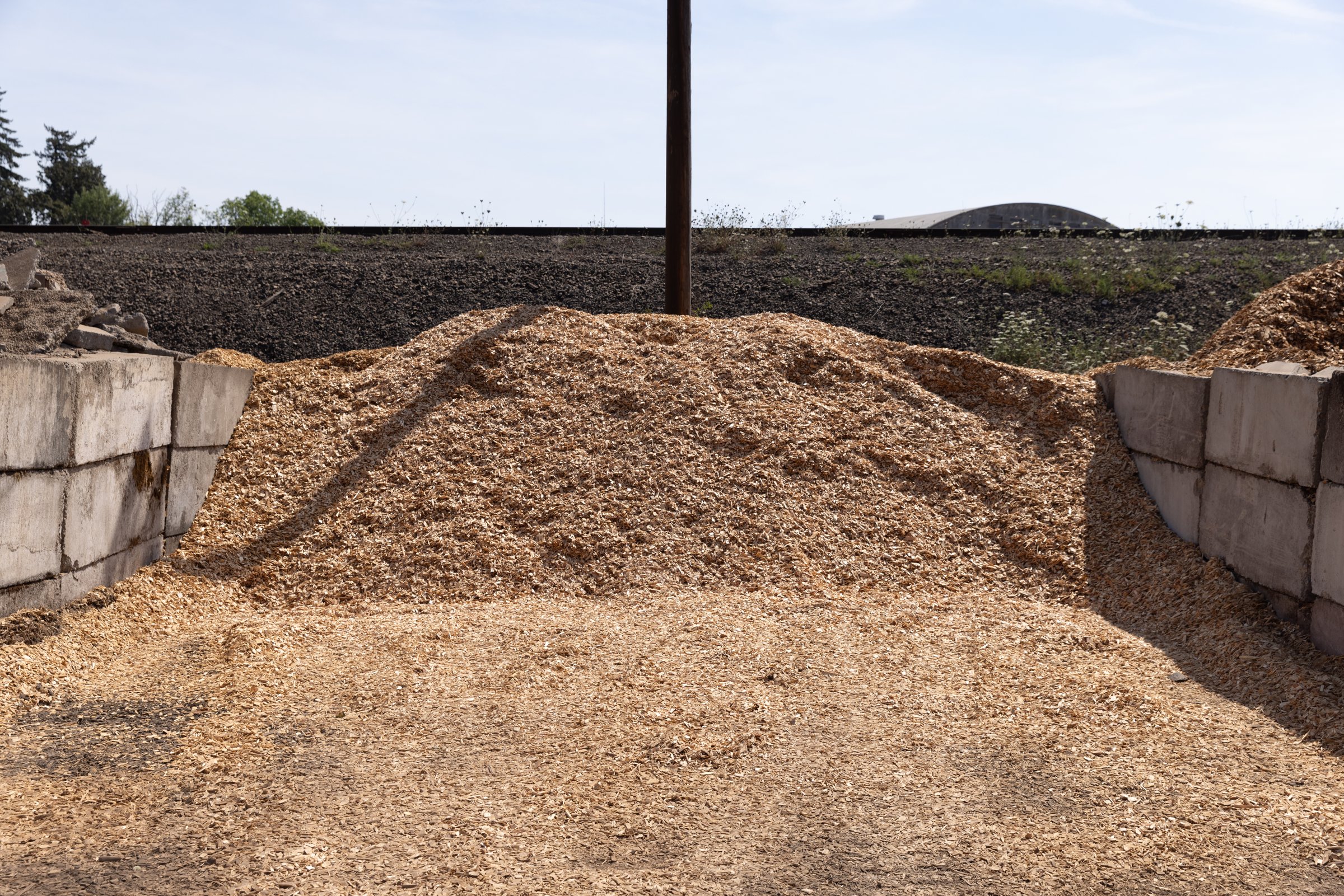 Cedar Wood Chips — photo 2
