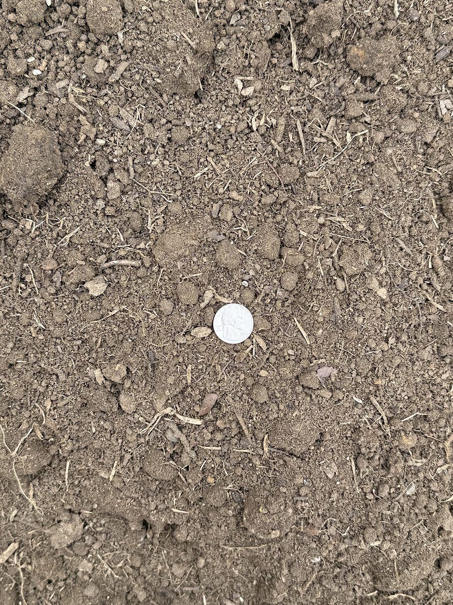 Common Fill — photo 2
