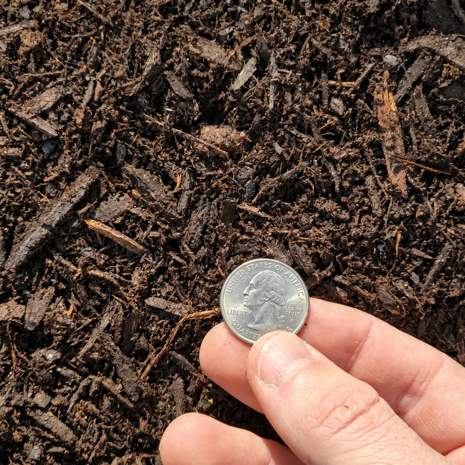 Compost Soil — photo 3