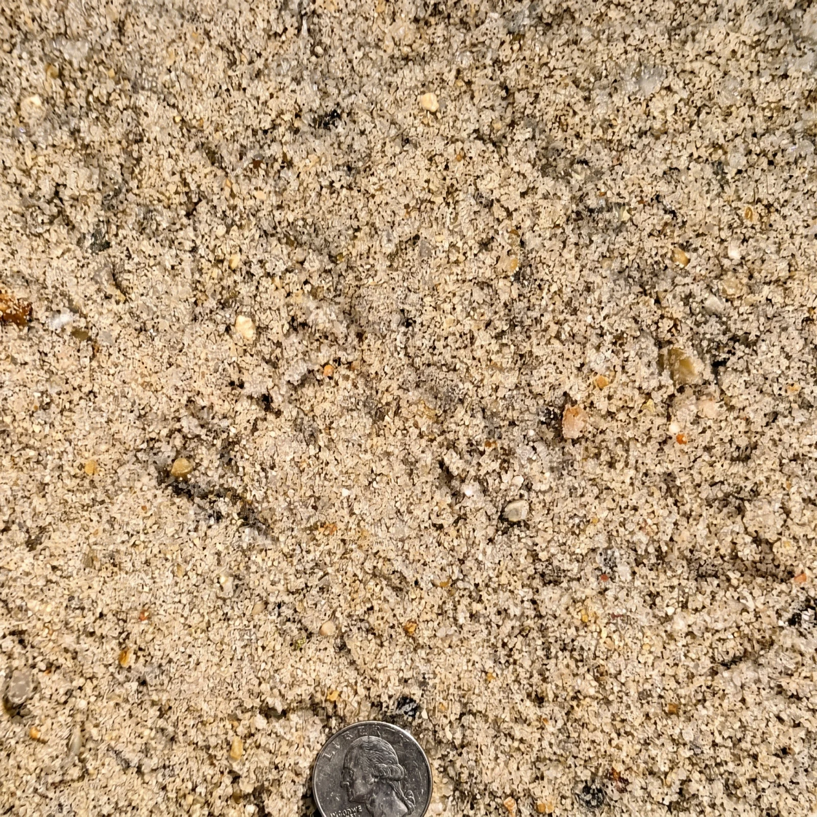 Concrete Sand — photo 3