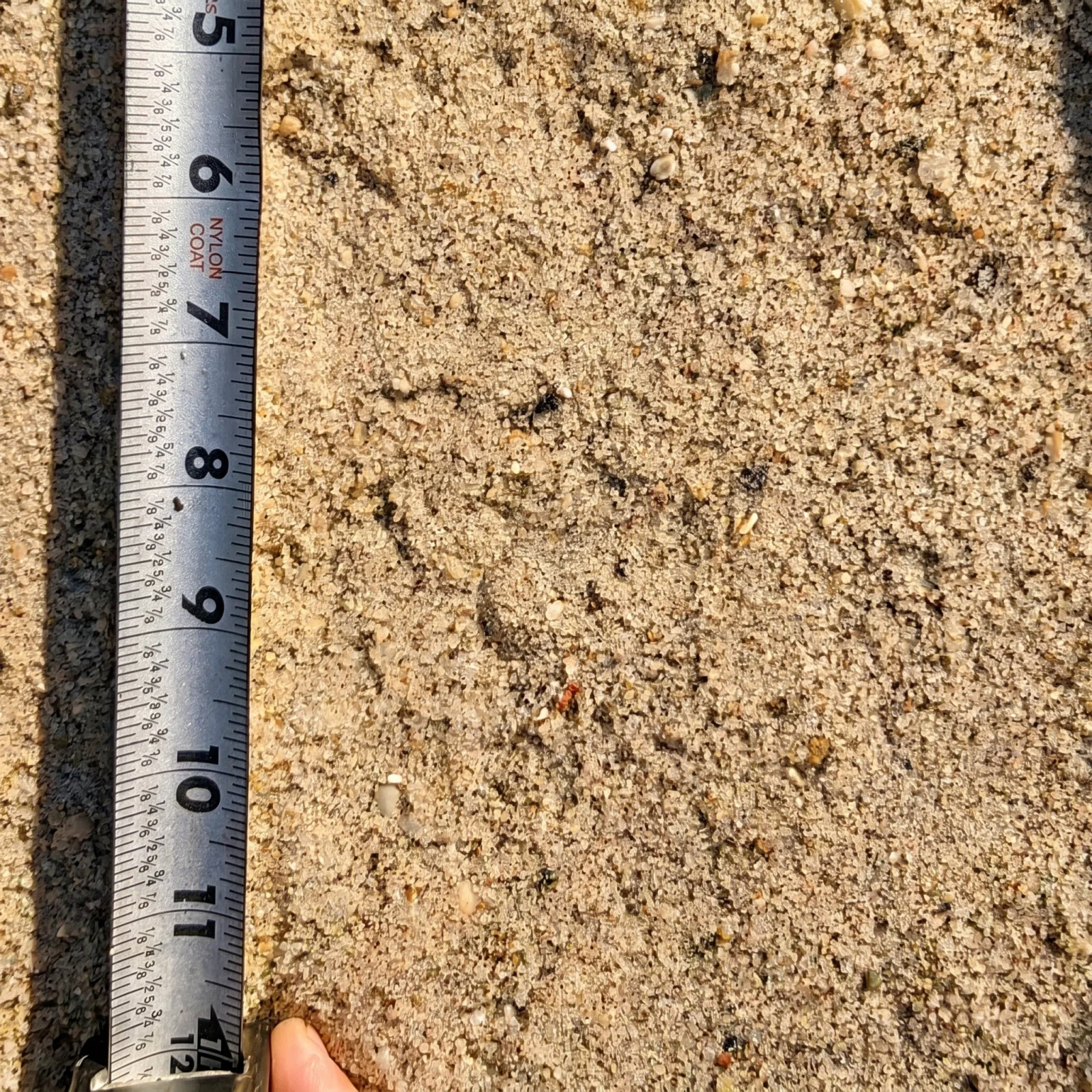 Concrete Sand — photo 5