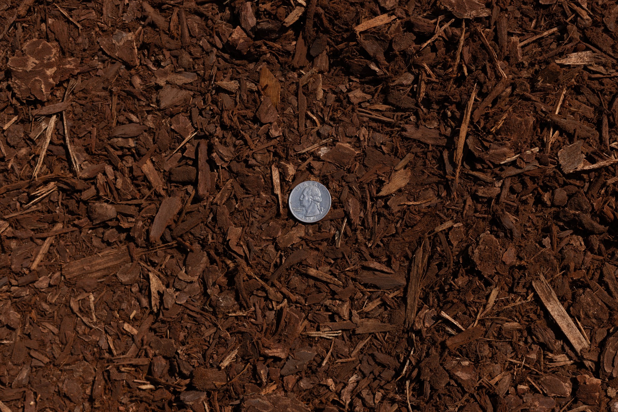 Dark (Aged) Fir — photo 4