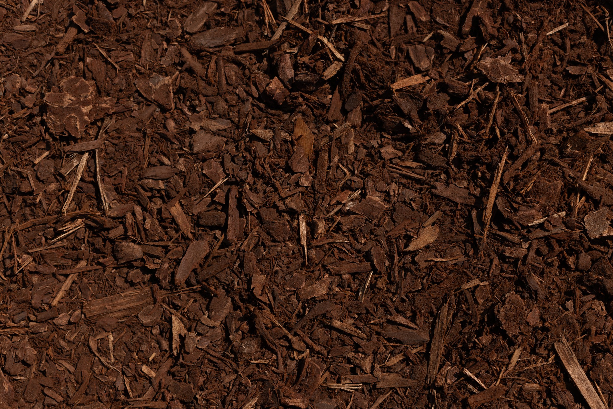 Dark (Aged) Fir — photo 5