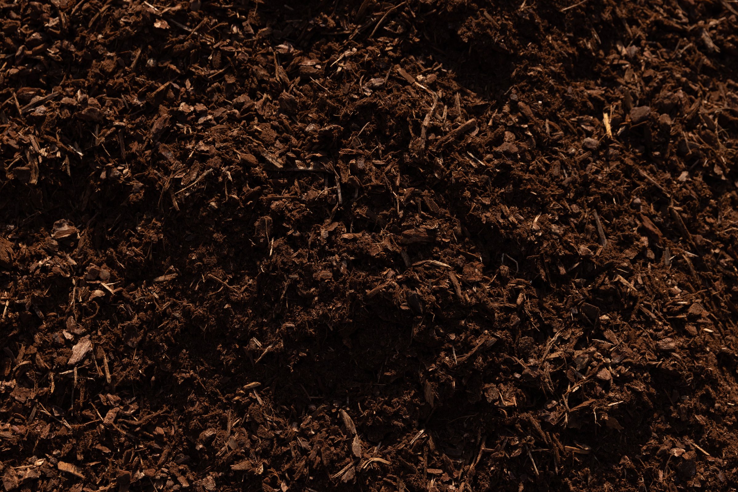 Dark (Aged) Fir — photo 6