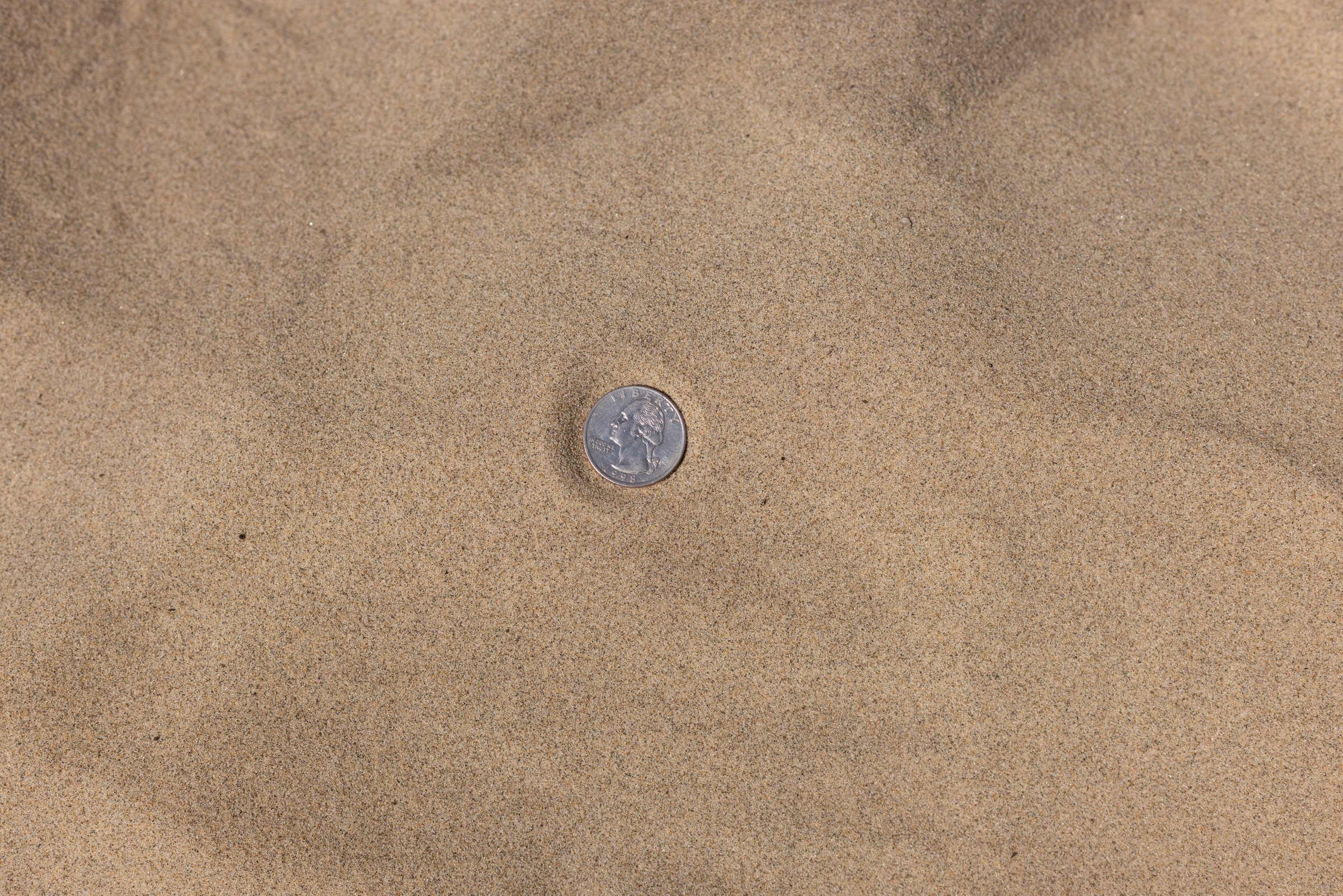 Dune Sand — photo 4