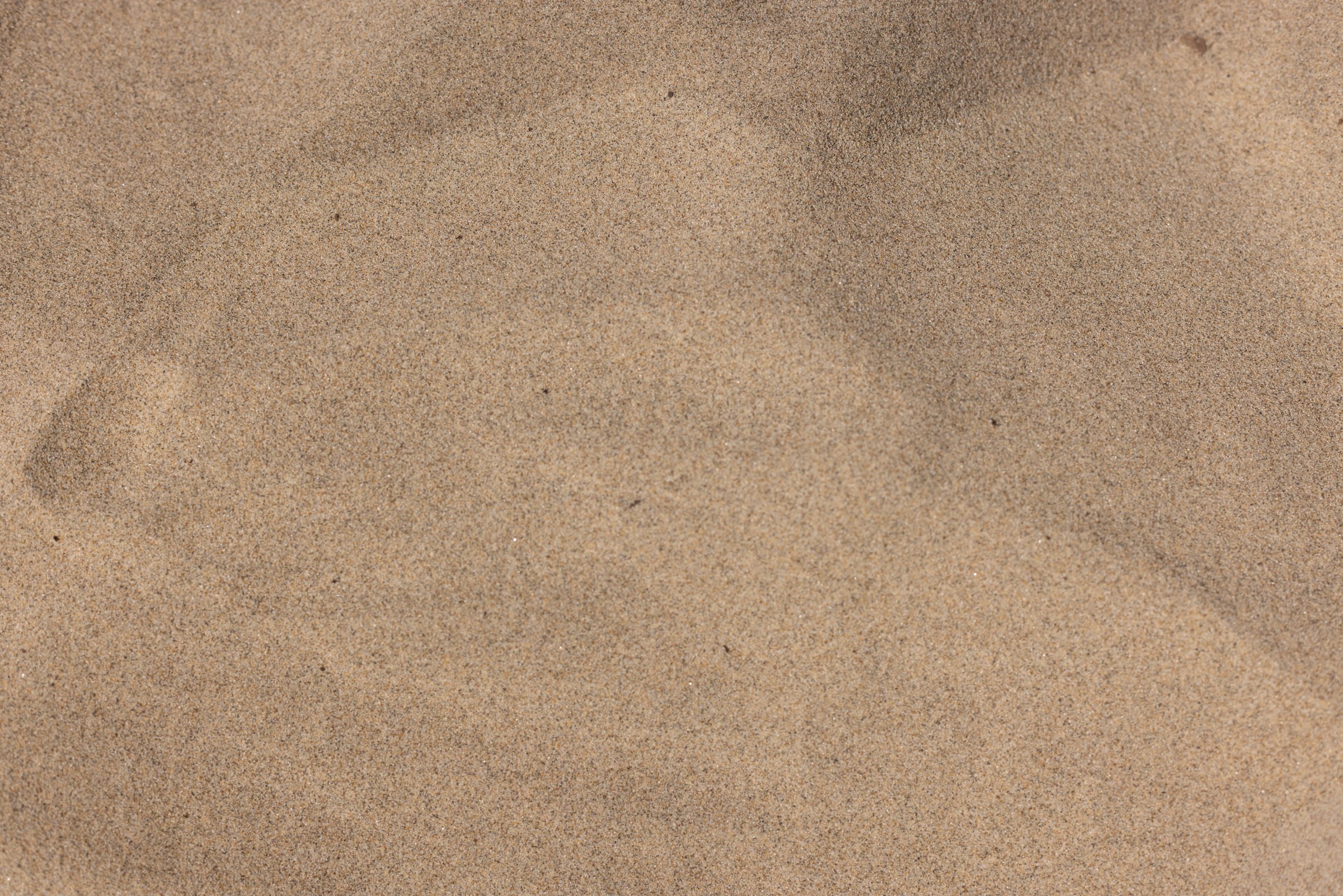 Dune Sand — photo 5