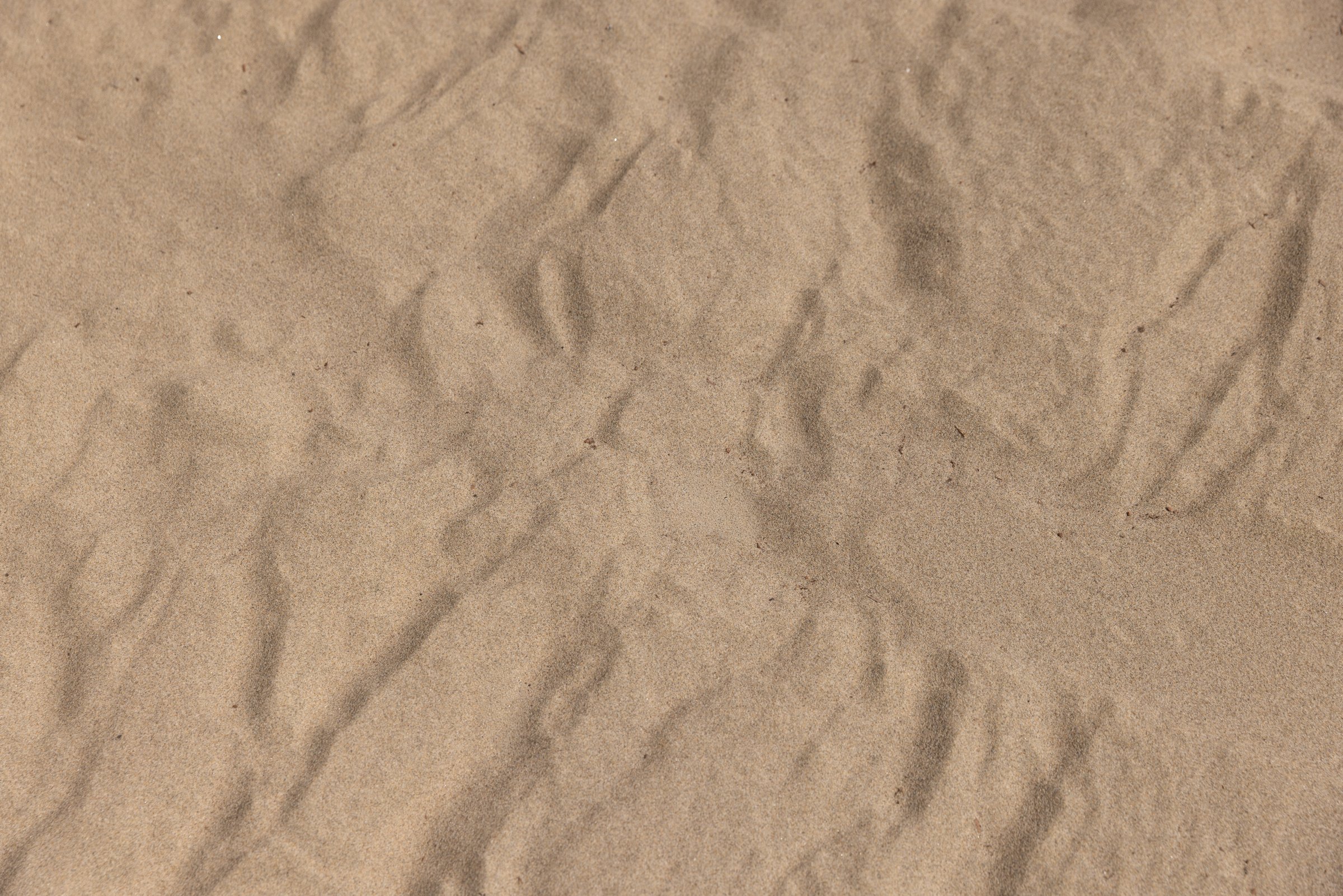 Dune Sand — photo 6