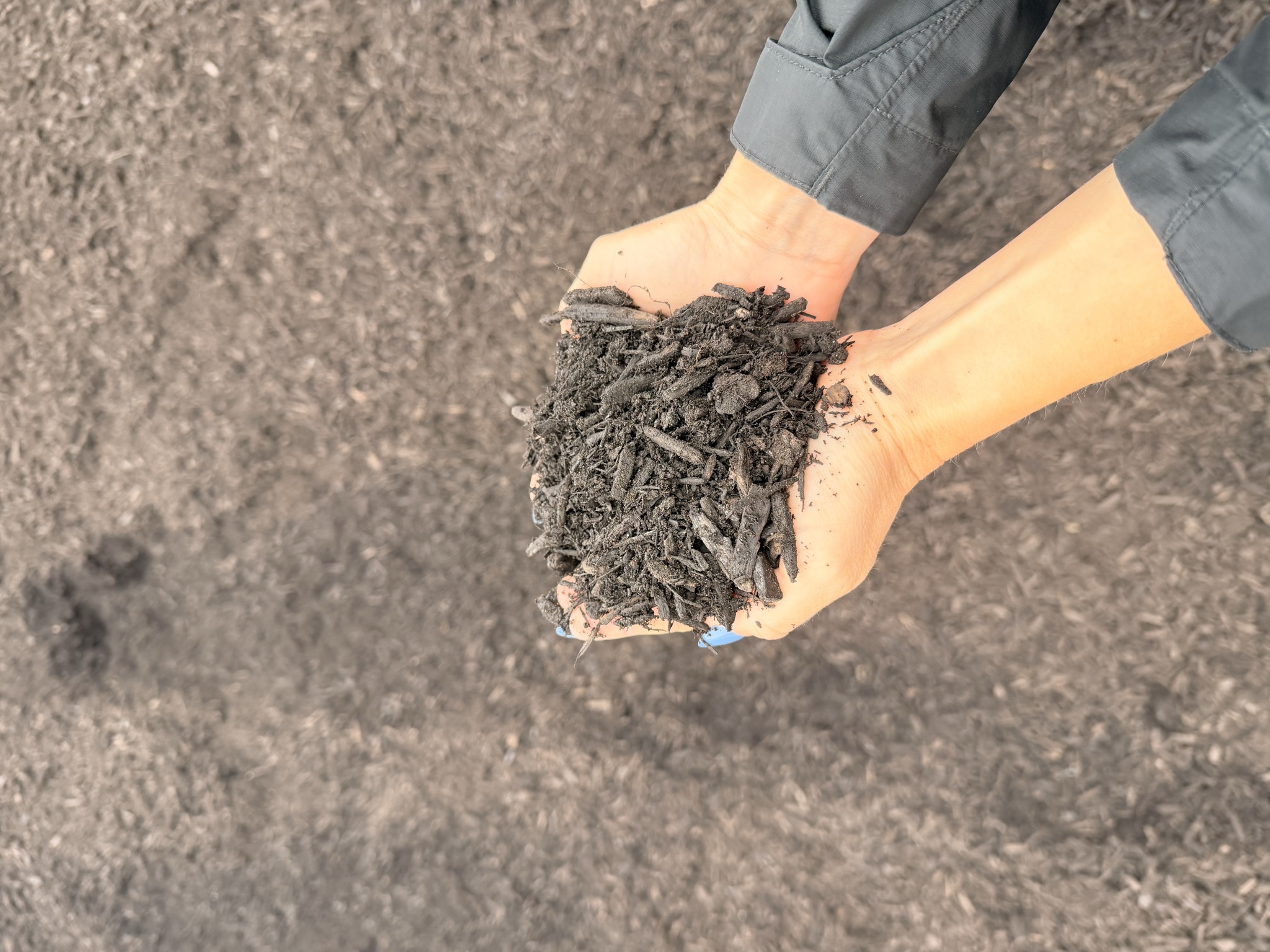 Enriched Organic Compost — photo 2