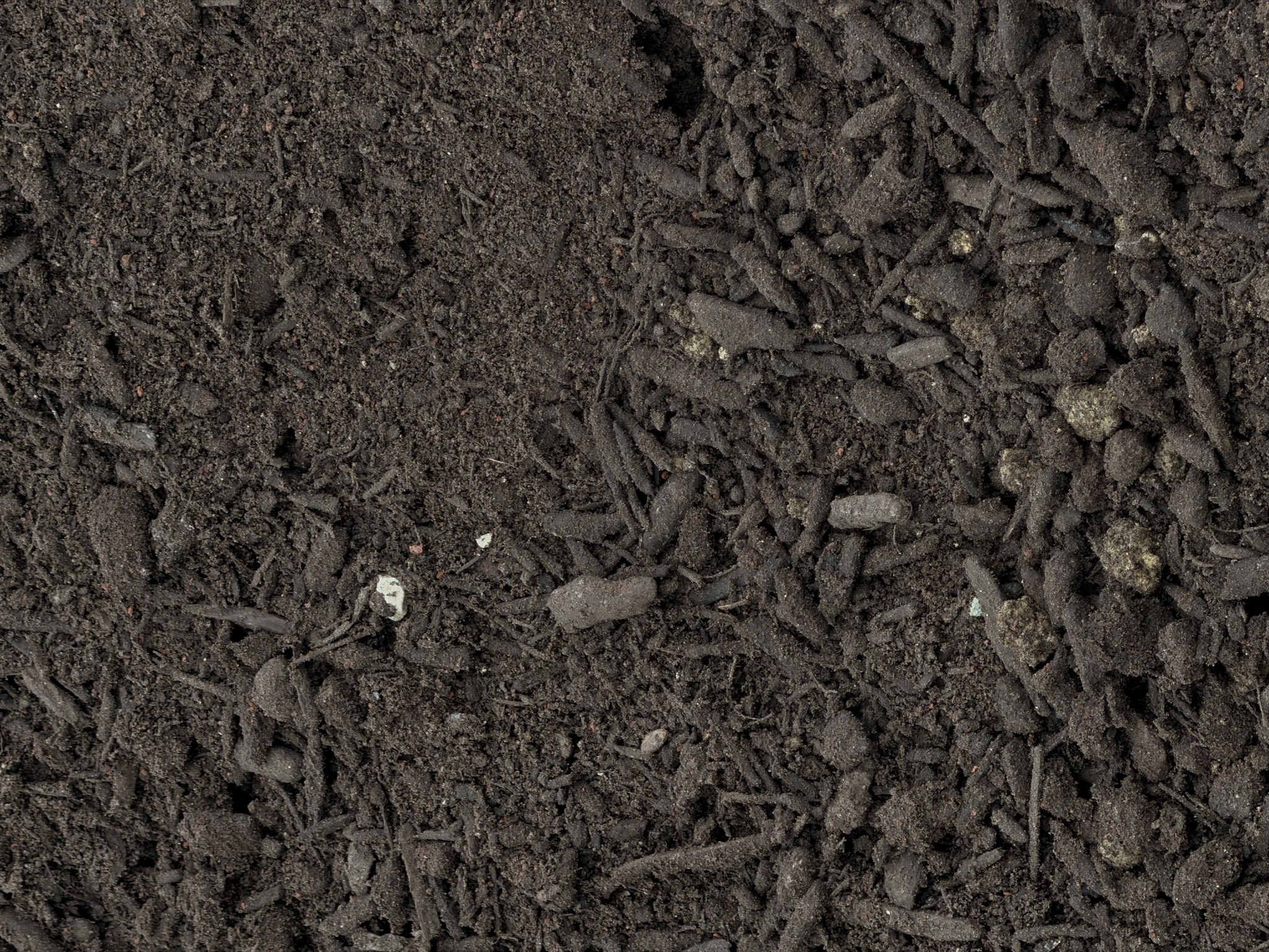 Enriched Organic Compost