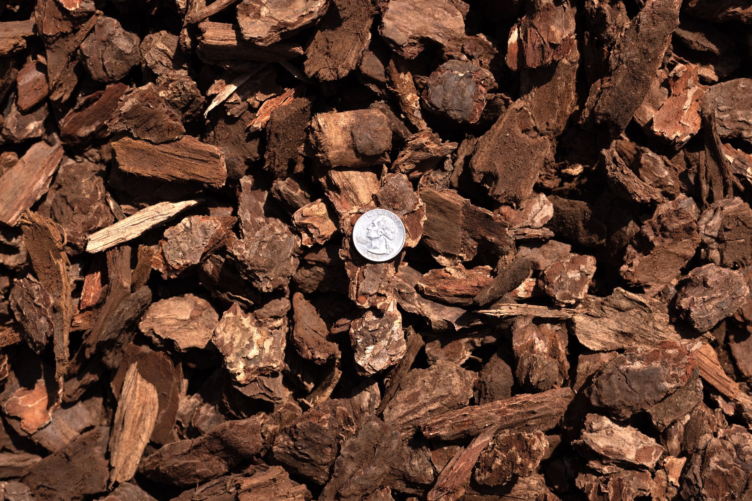 Fir Bark Nuggets — photo 4