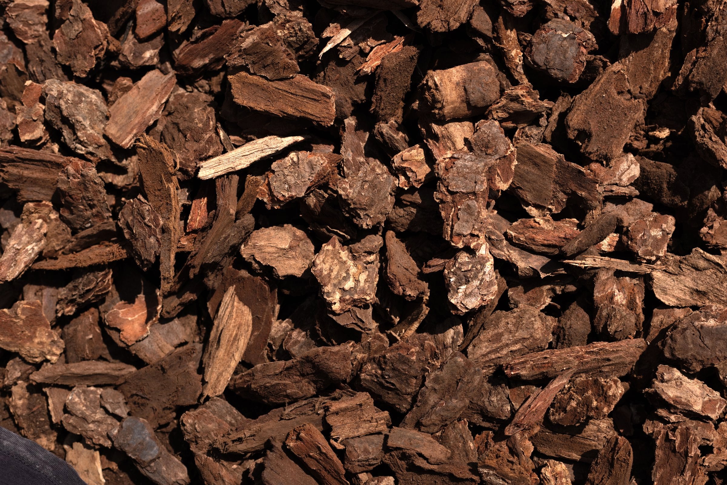 Fir Bark Nuggets — photo 5