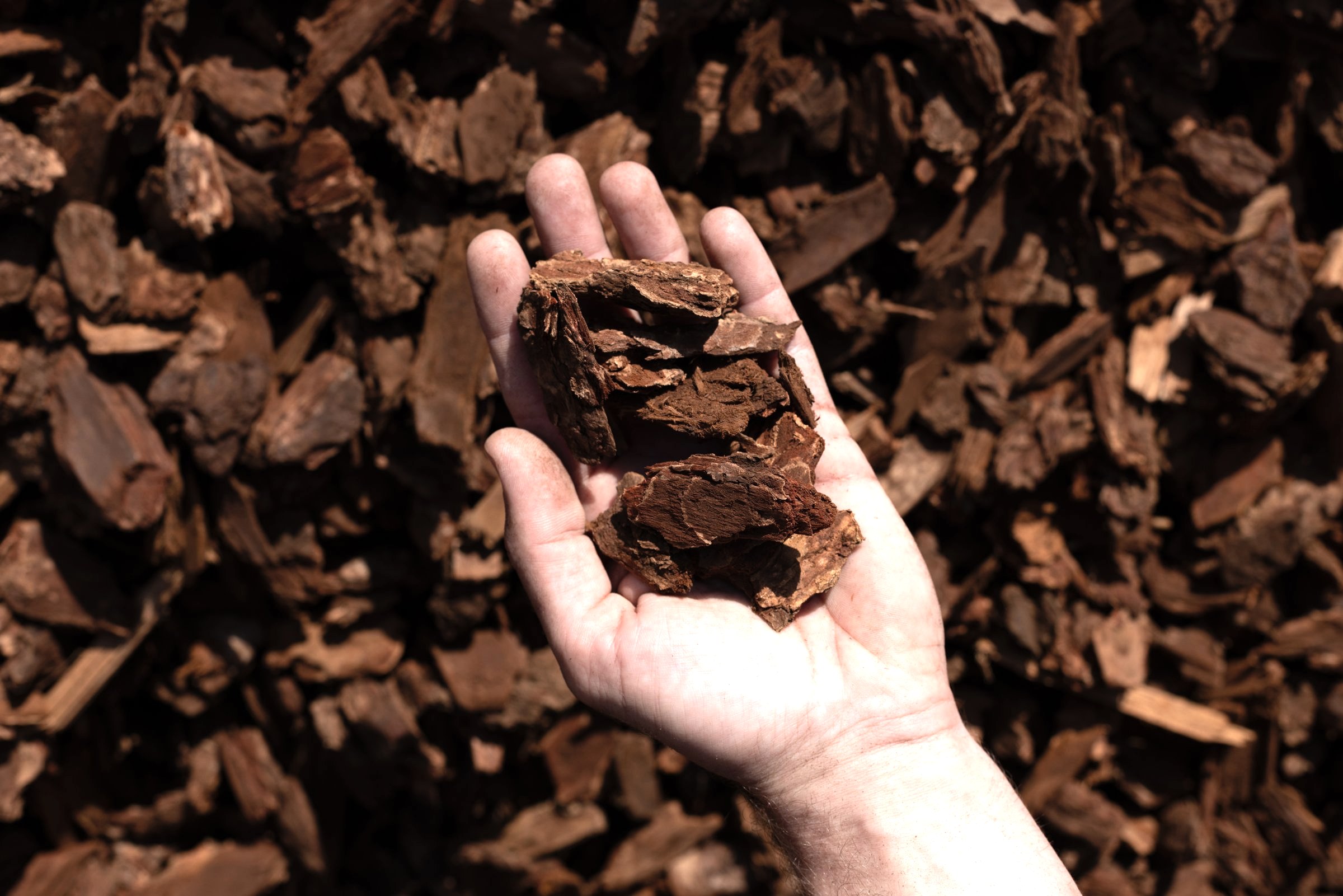 Fir Bark Nuggets