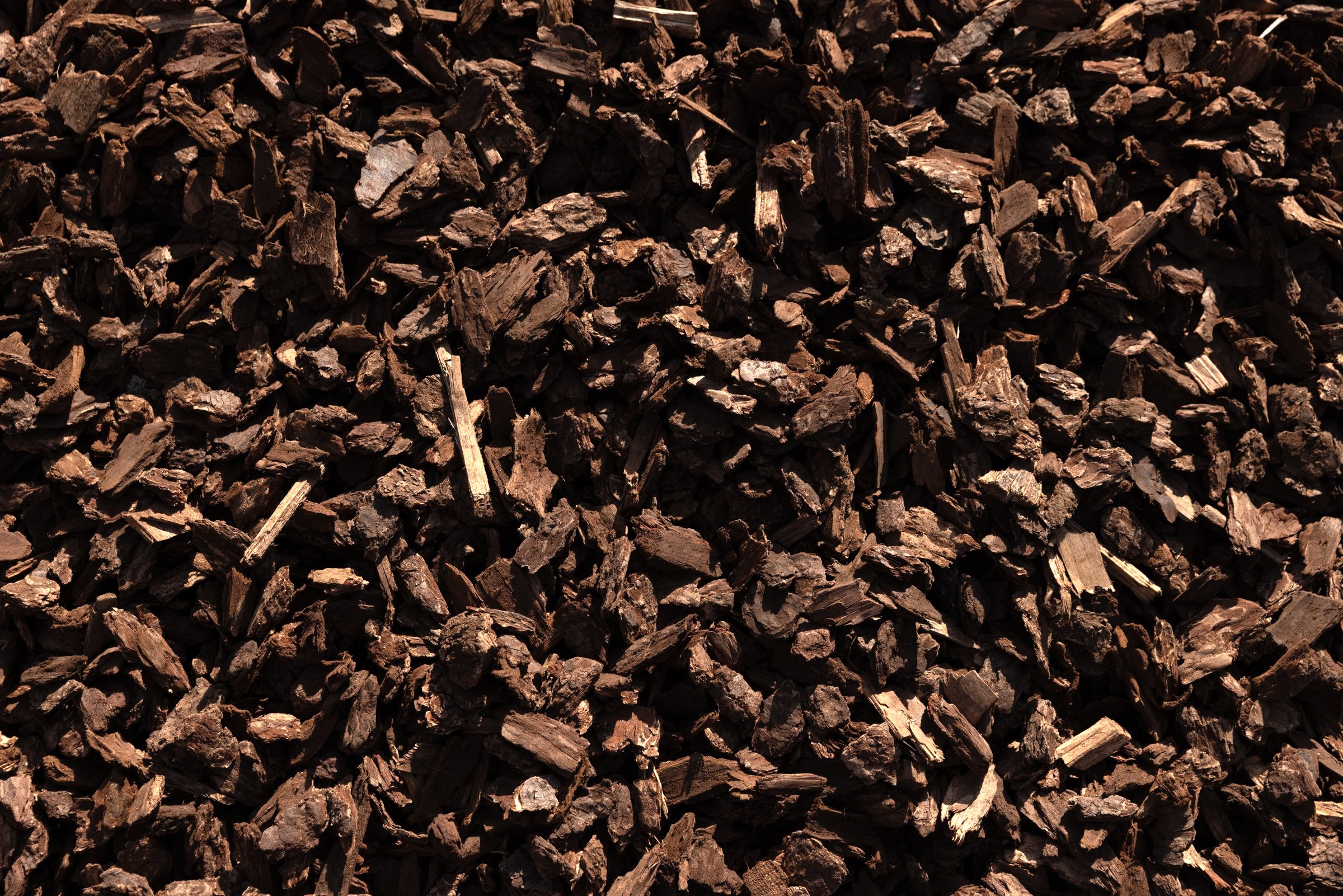 Fir Bark Nuggets — photo 6