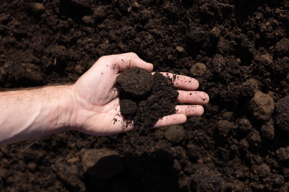50/50 Topsoil & Compost Blend thumbnail 4