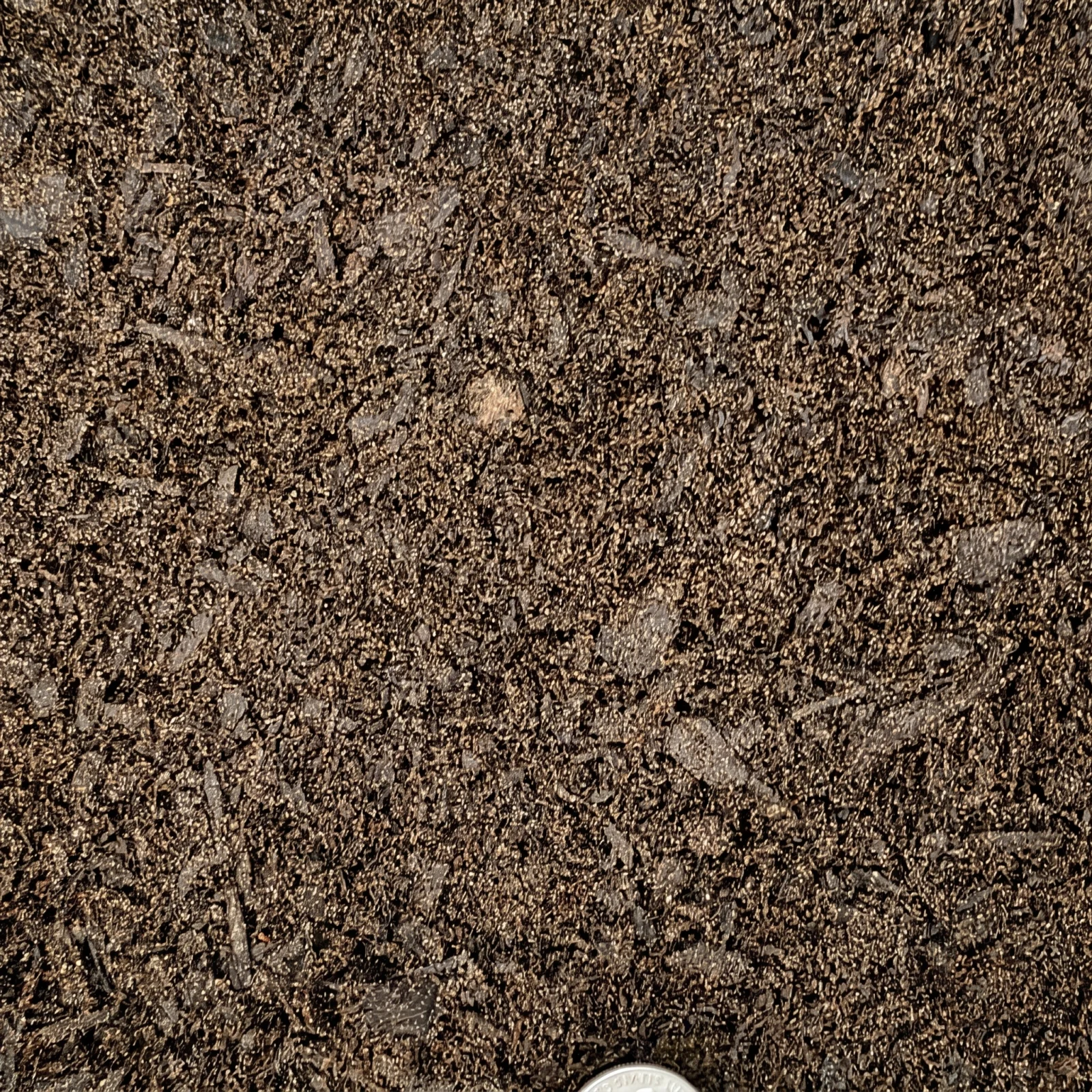 Garden Soil — photo 3