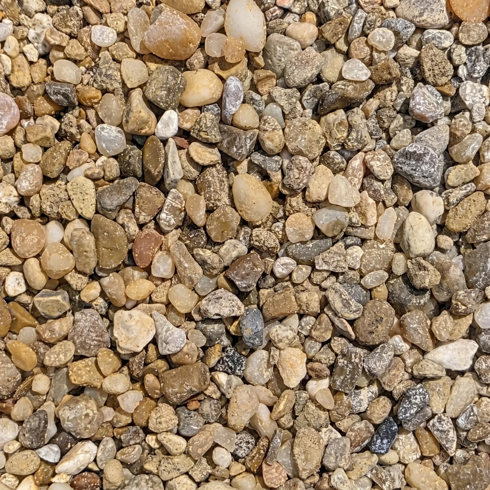 Golden Pea Gravel