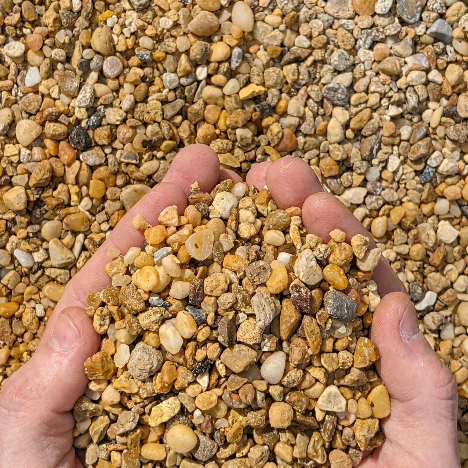 Golden Pea Gravel — photo 4